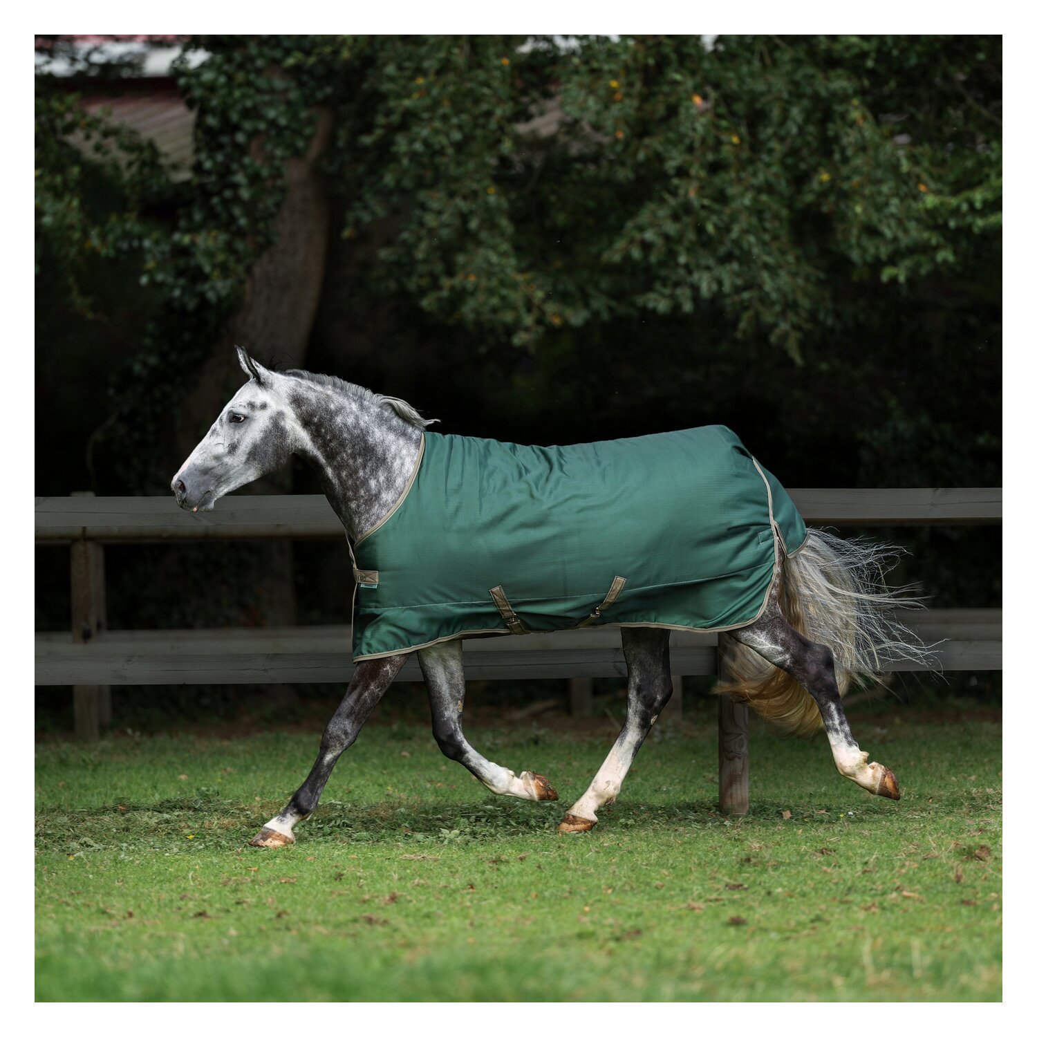 bucas Outdoordecke Freedom Turnout &ndash; Ansicht 2