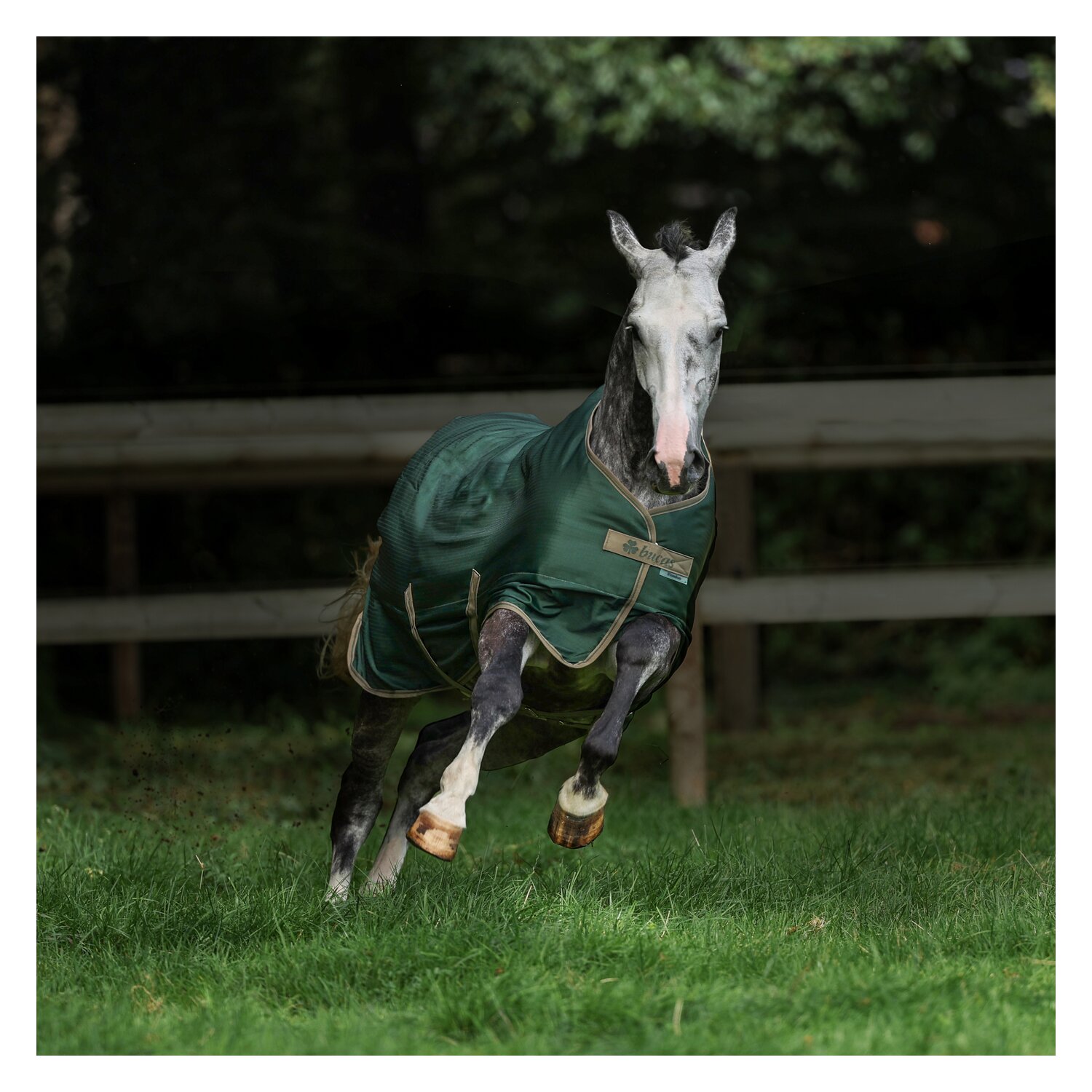 bucas Outdoordecke Freedom Turnout &ndash; Ansicht 3