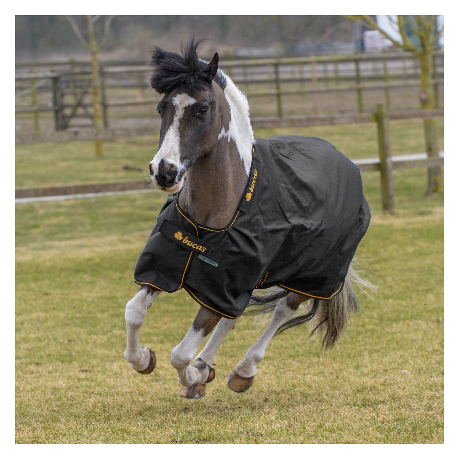 bucas Outdoordecke Irish Turnout light – Ansicht 1