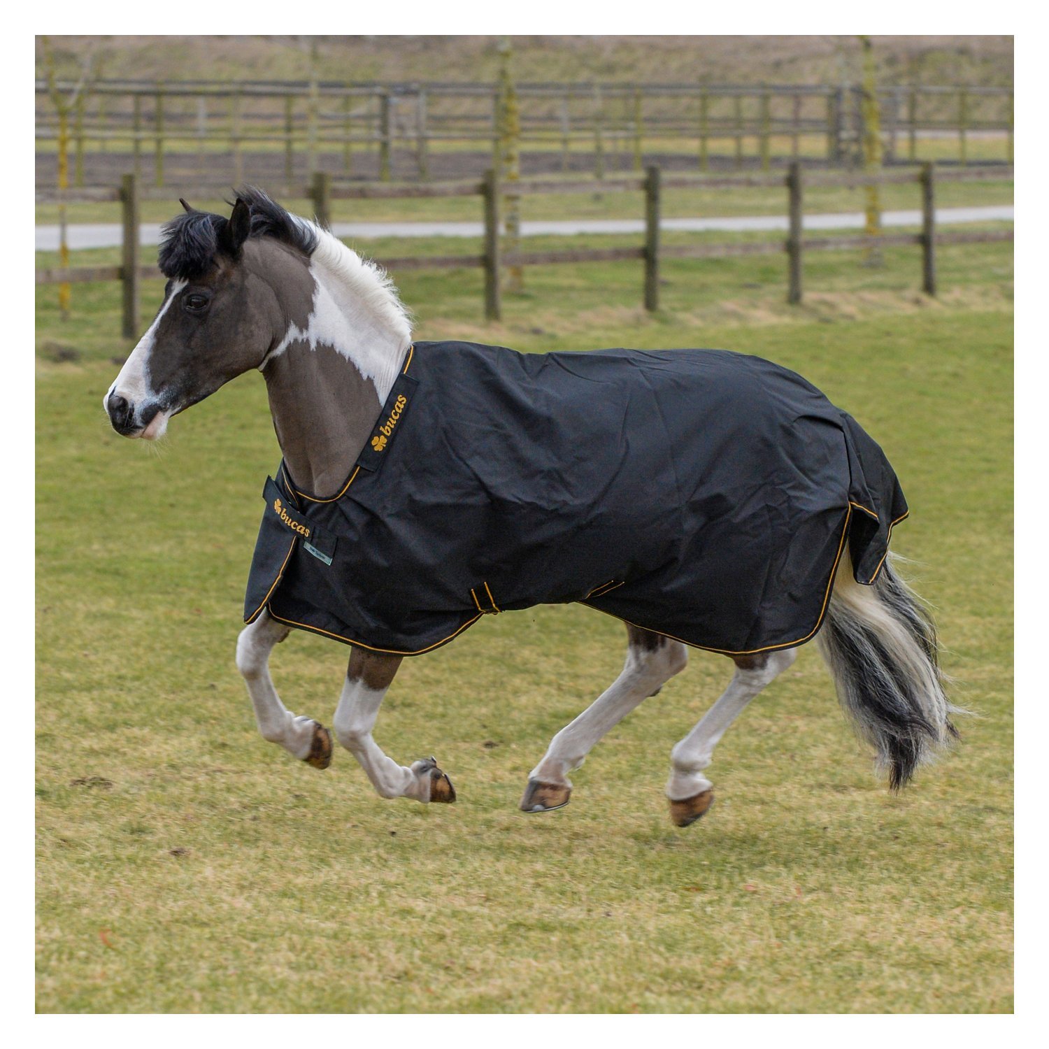 bucas Outdoordecke Irish Turnout light – Ansicht 2