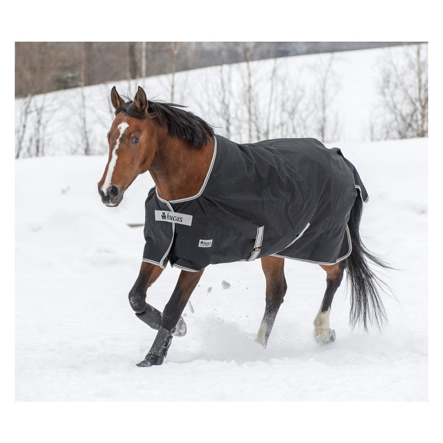 bucas Outdoordecke Anniversary Black Turnout Light – Ansicht 2