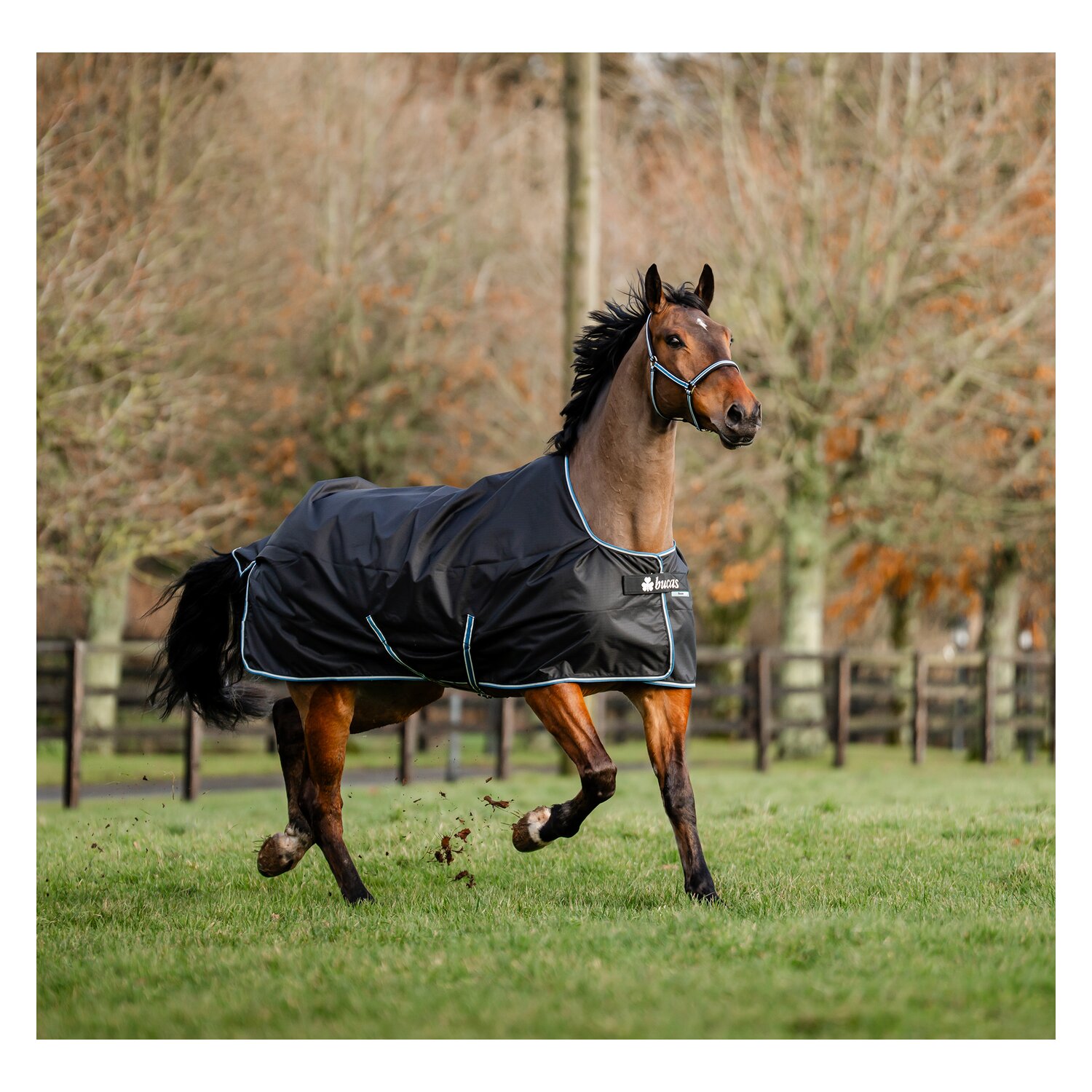 bucas Outdoordecke Anniversary Black Turnout Light &ndash; Ansicht 3