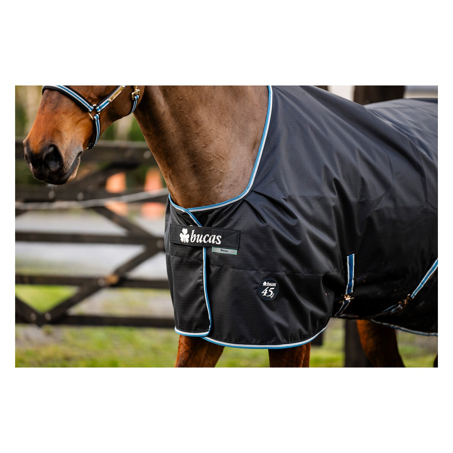 bucas Outdoordecke Anniversary Black Turnout Light &ndash; Ansicht 5
