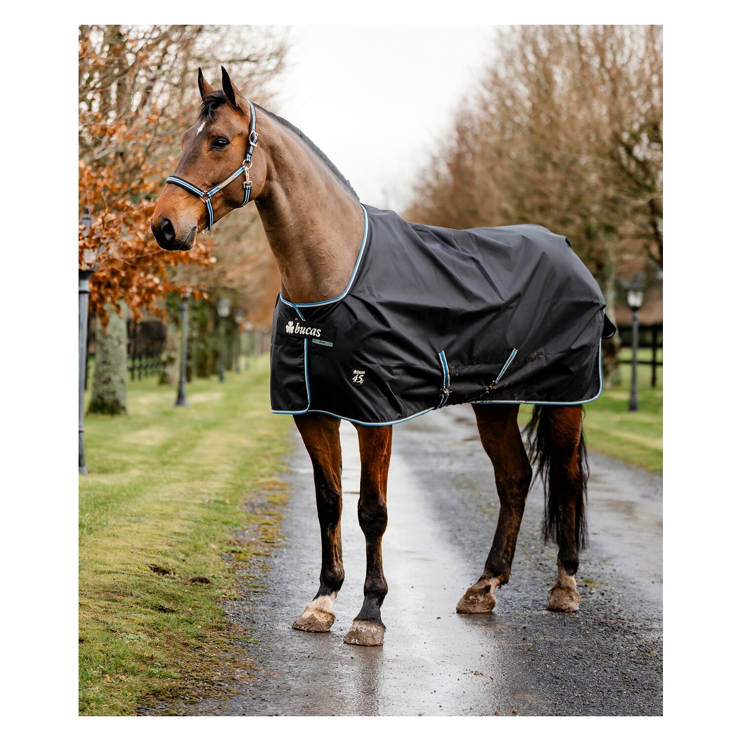 bucas Outdoordecke Anniversary Black Turnout Light &ndash; Ansicht 1