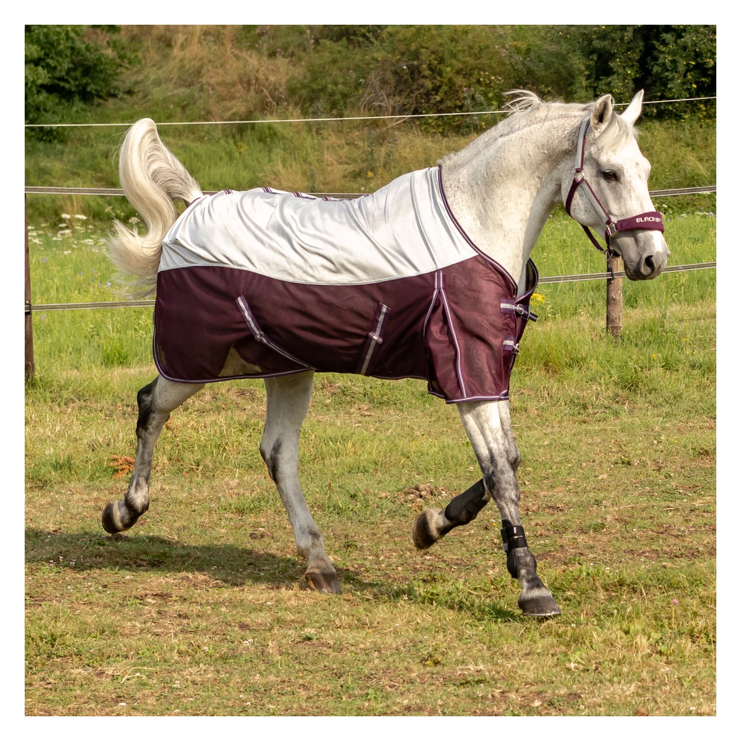 IRISh INNOVATION Fliegendecke Cooler – Ansicht 2