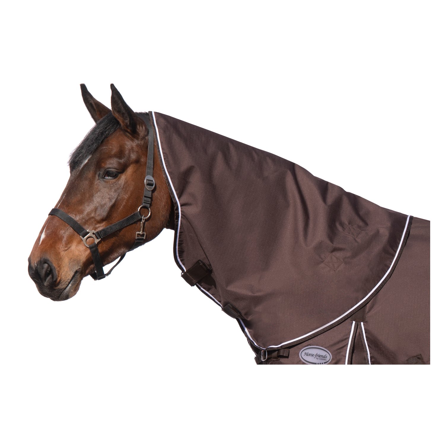Horse-friends Halsteil Hamburg &ndash; Ansicht 1
