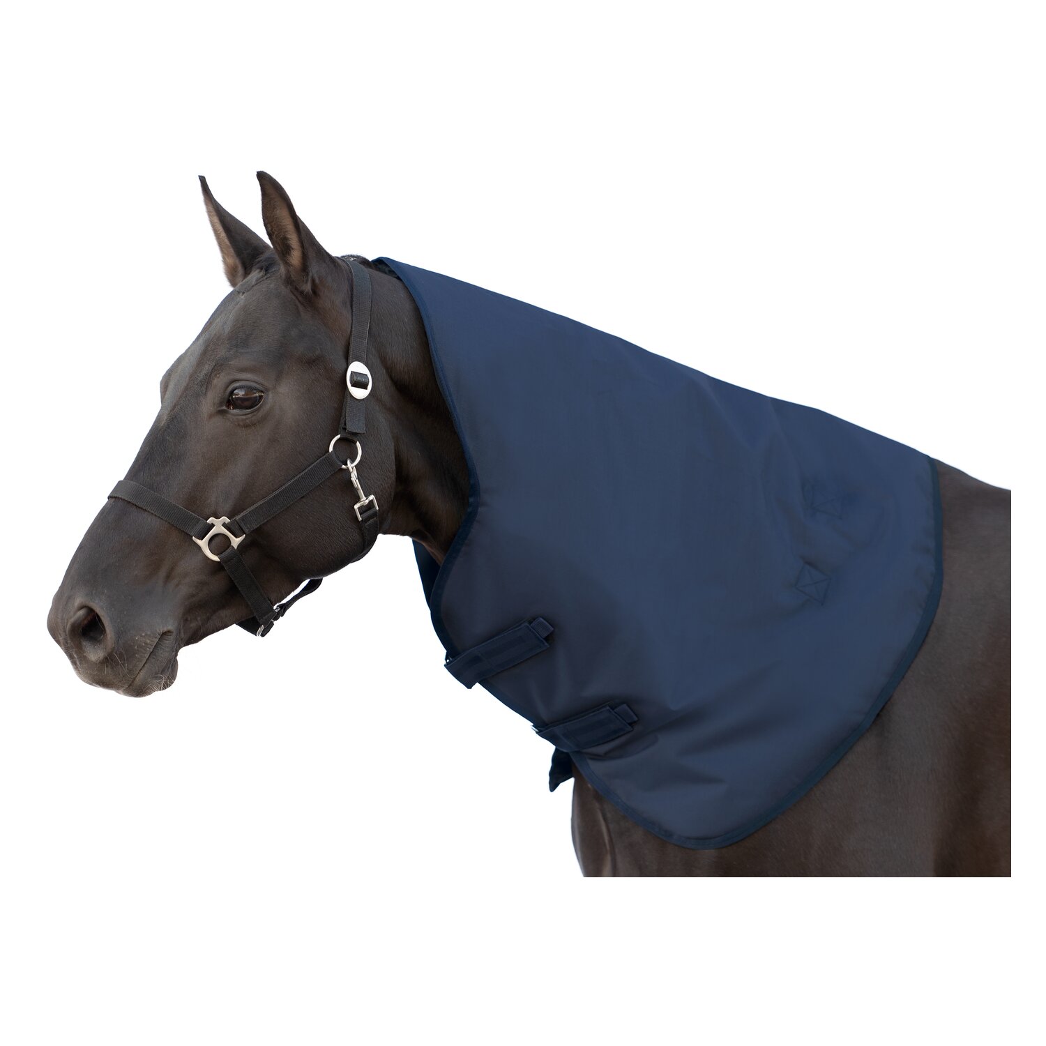 Horse-friends Halsteil Hamburg – Ansicht 1