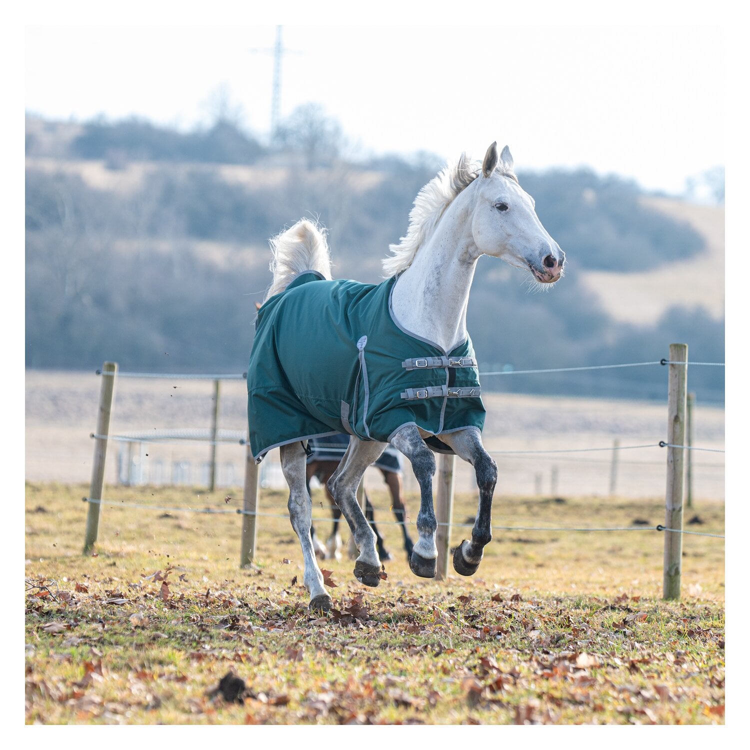 Horse-friends Outdoordecke Hamburg II 0g &ndash; Ansicht 5