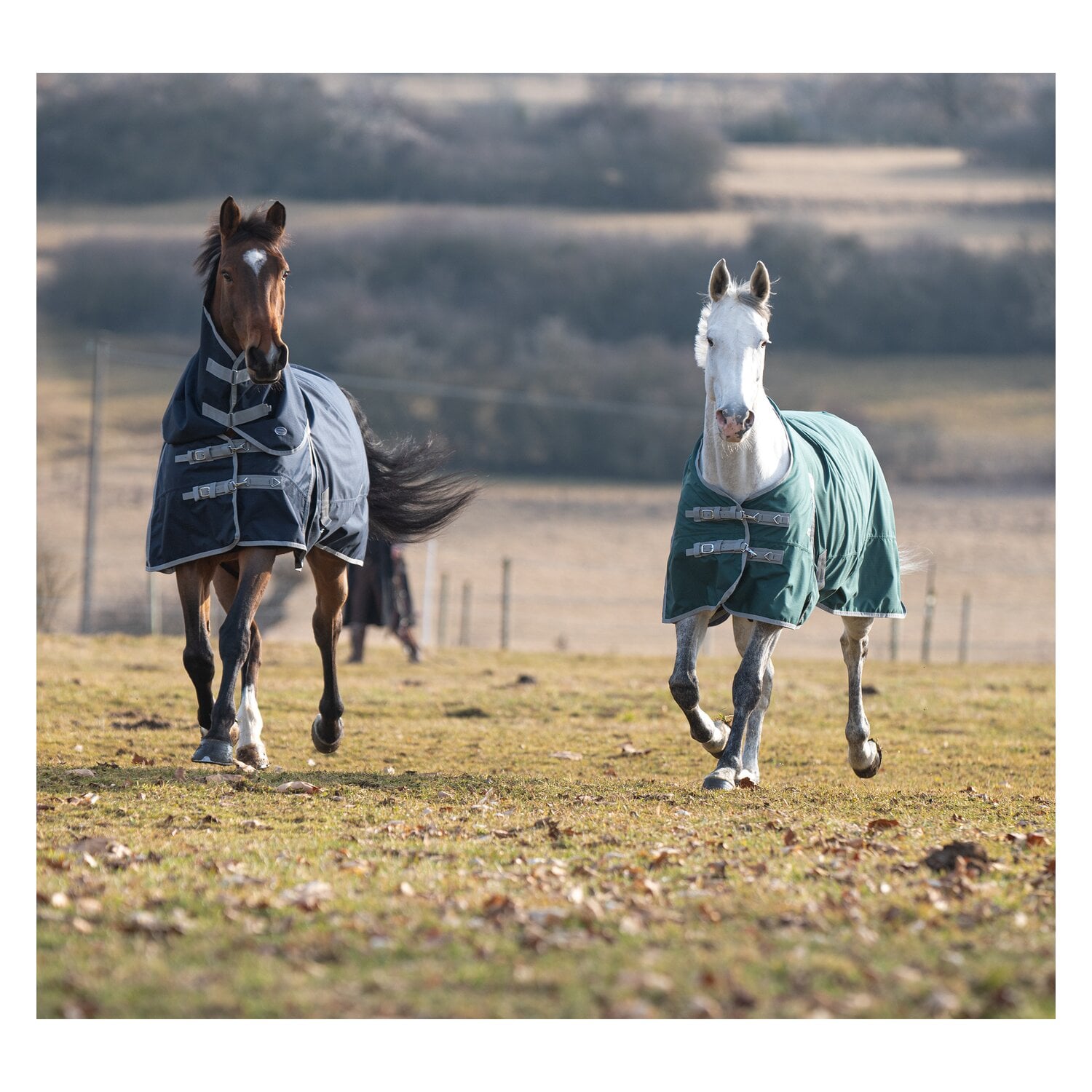 Horse-friends Outdoordecke Hamburg II 0g &ndash; Ansicht 9