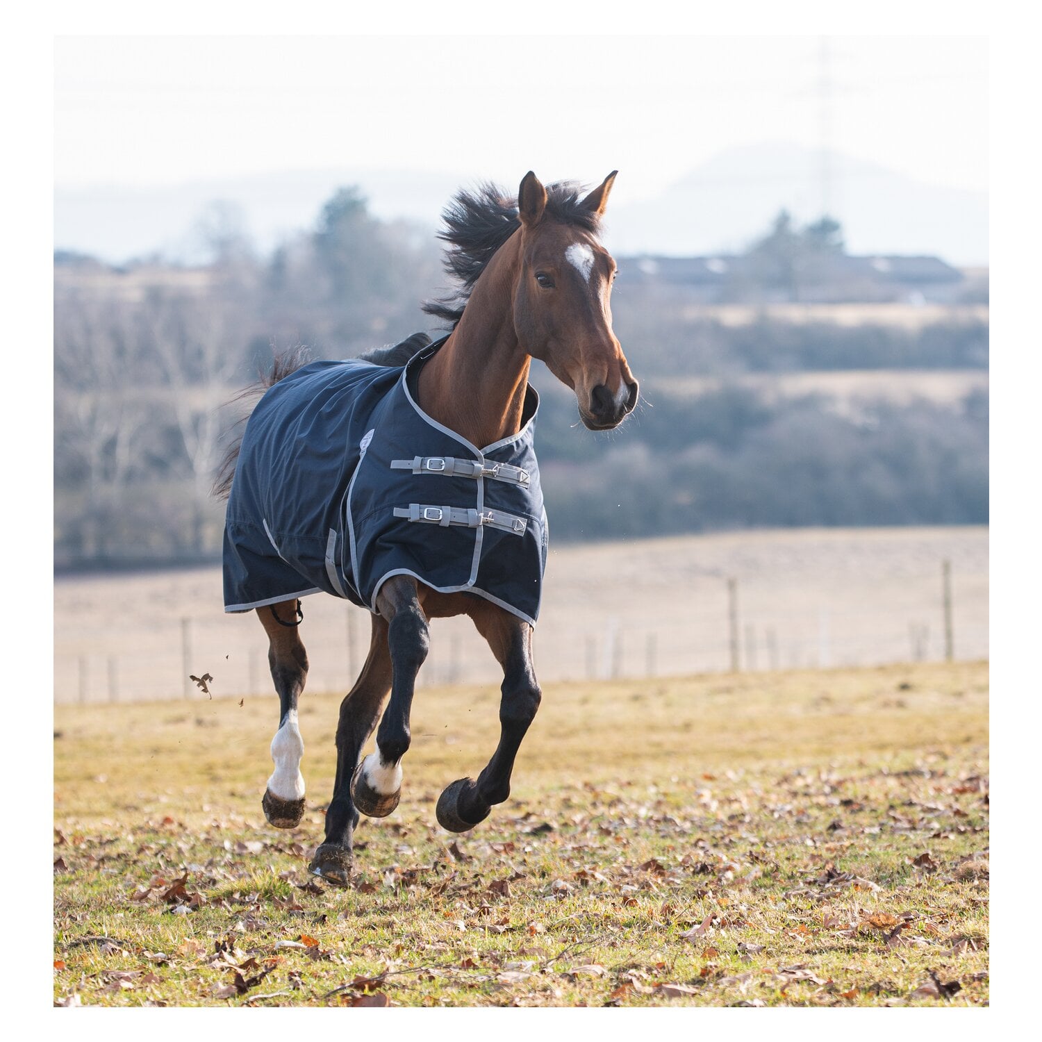 Horse-friends Outdoordecke Hamburg II 0g &ndash; Ansicht 3