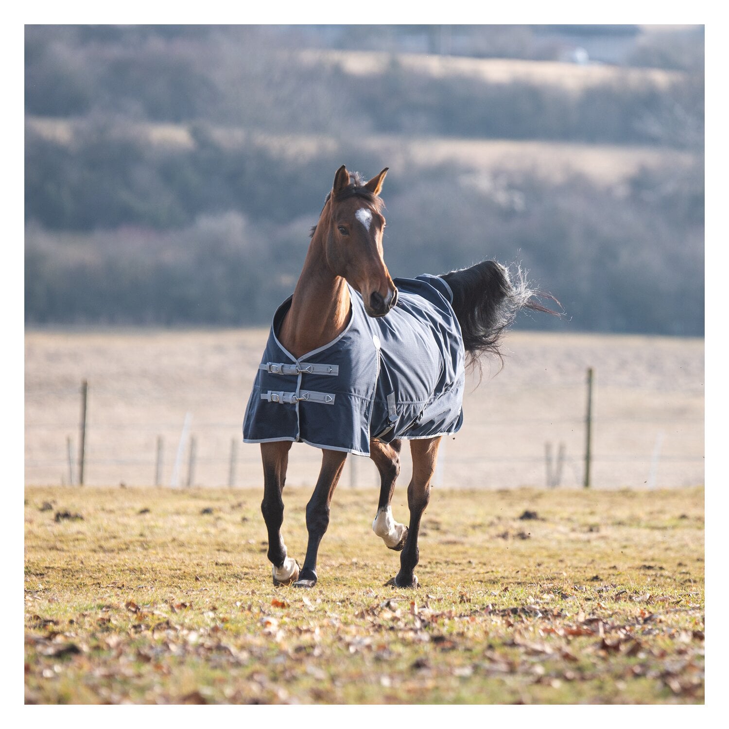 Horse-friends Outdoordecke Hamburg II 0g &ndash; Ansicht 4