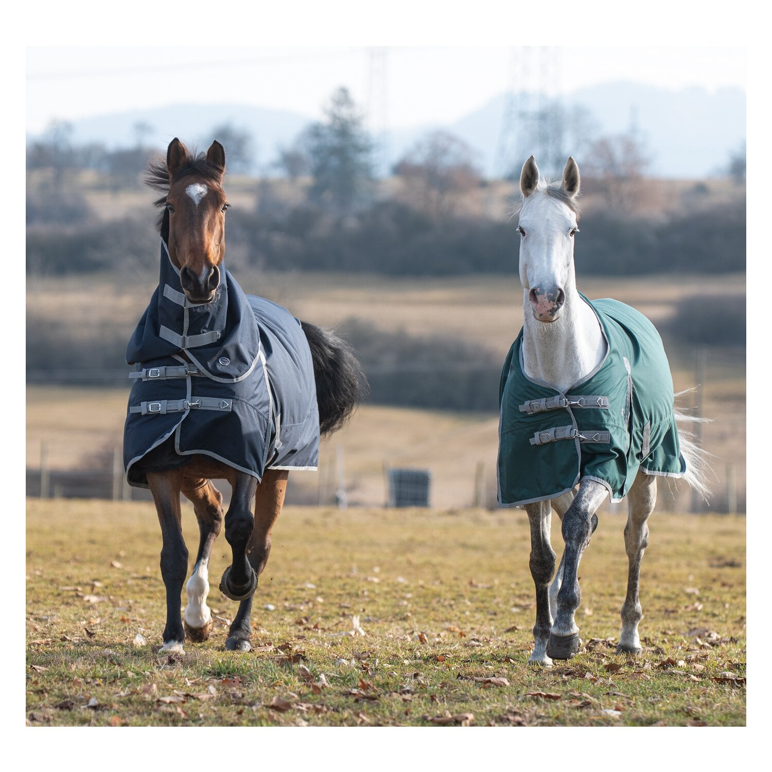 Horse-friends Outdoordecke Hamburg II 0g &ndash; Ansicht 5