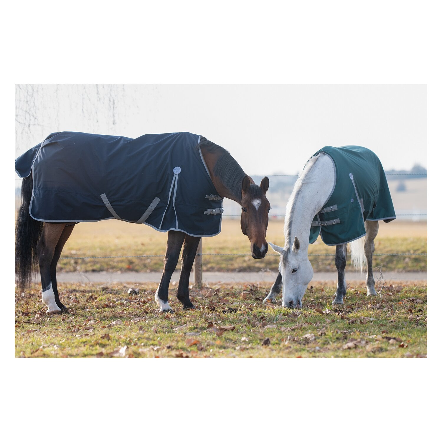 Horse-friends Outdoordecke Hamburg II 0g &ndash; Ansicht 7