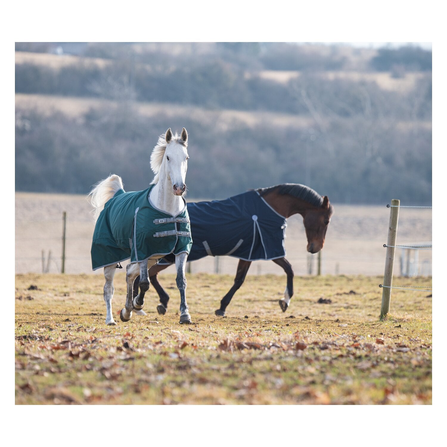 Horse-friends Outdoordecke Hamburg II 0g &ndash; Ansicht 6