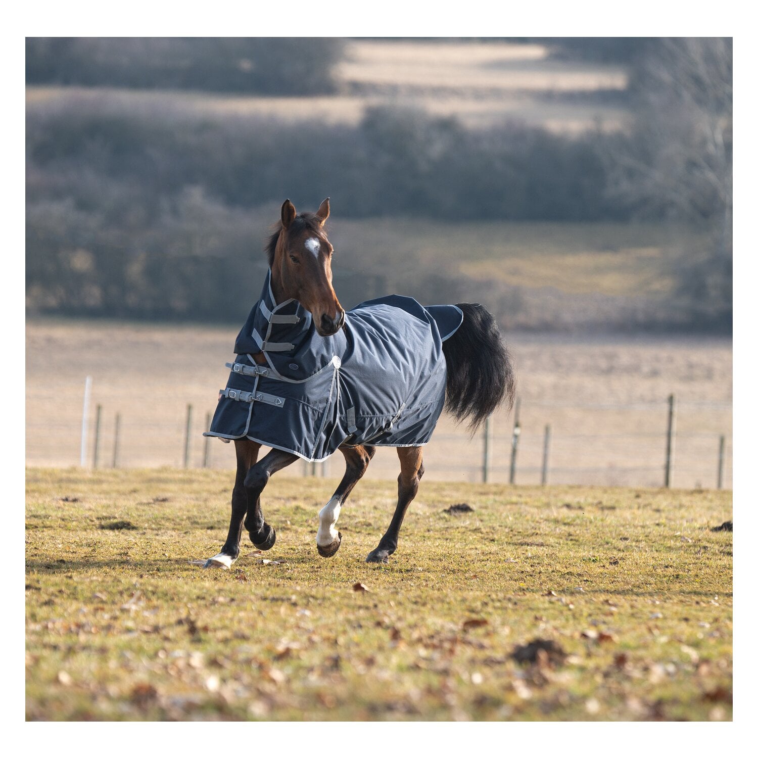 Horse-friends Outdoordecke Hamburg II 0g &ndash; Ansicht 8