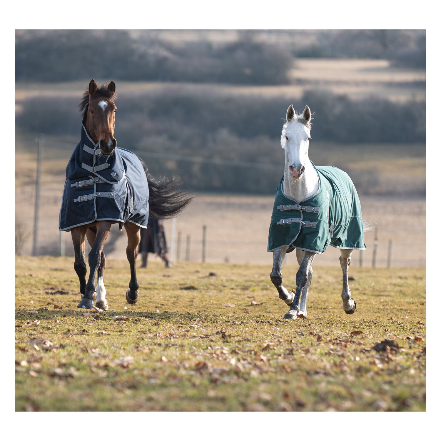 Horse-friends Halsteil Hamburg II, 0 g &ndash; Ansicht 4