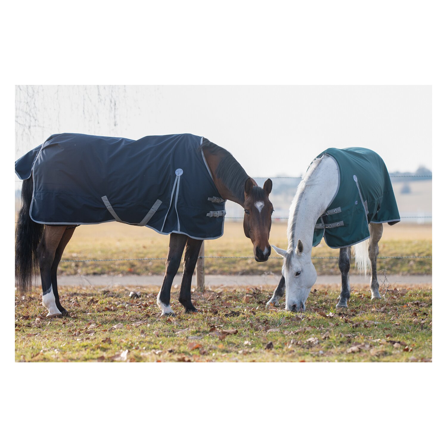 Horse-friends Outdoordecke Hamburg II, 50 g &ndash; Ansicht 11