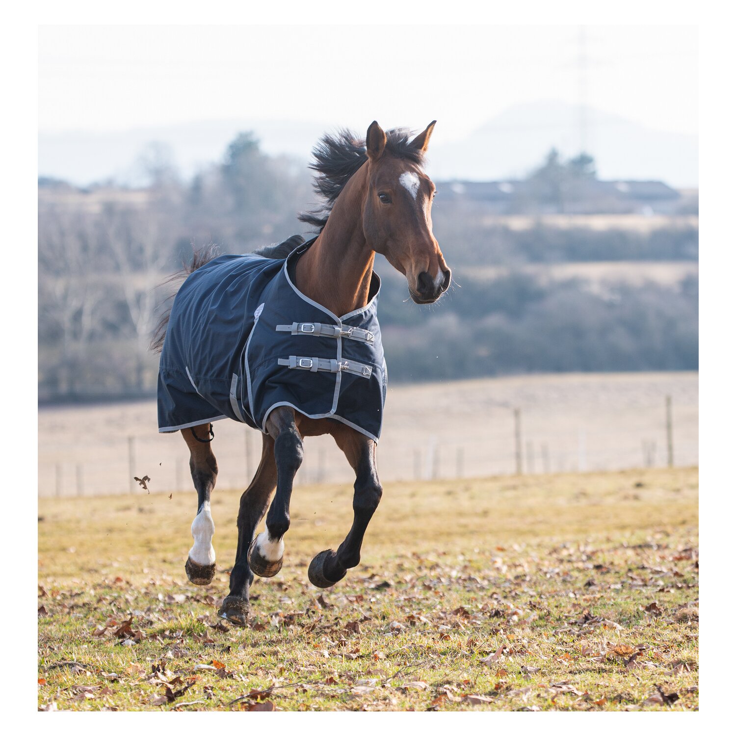 Horse-friends Outdoordecke Hamburg II, 50 g &ndash; Ansicht 6