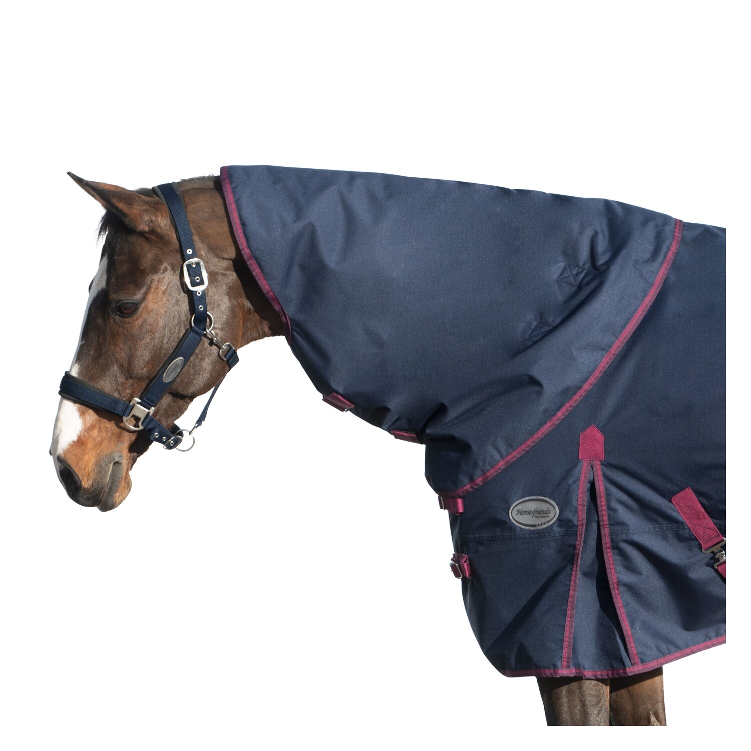 Horse-friends Halsteil Hamburg 100 g – Ansicht 2