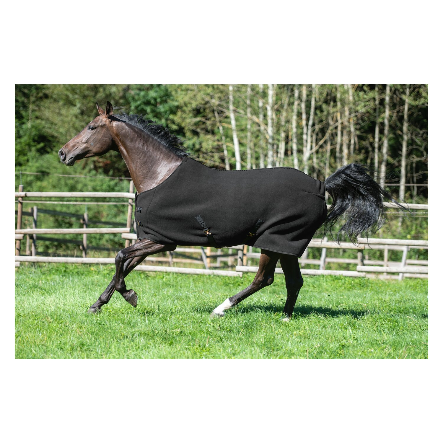 RIDE now Abschwitzdecke Luton – Ansicht 2