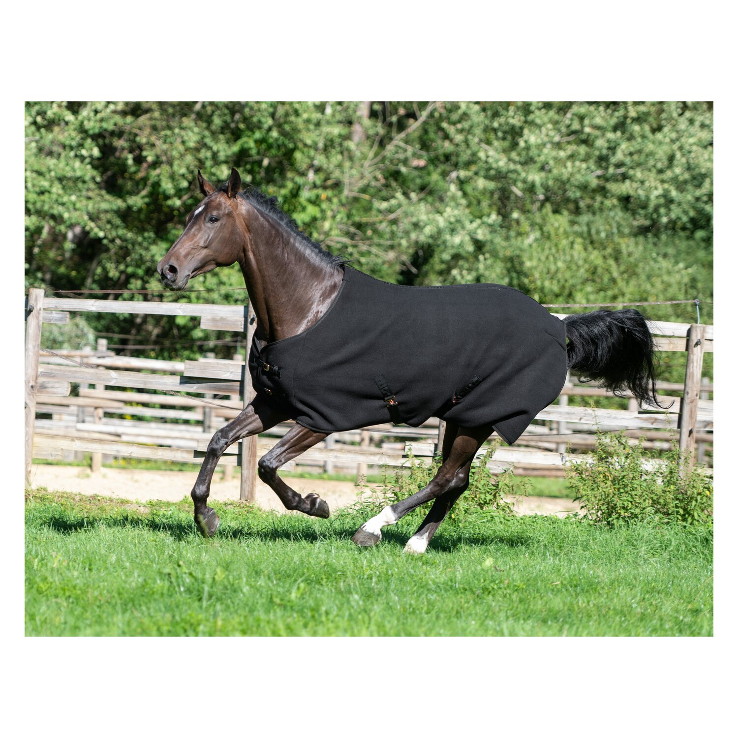 RIDE now Abschwitzdecke Luton – Ansicht 3