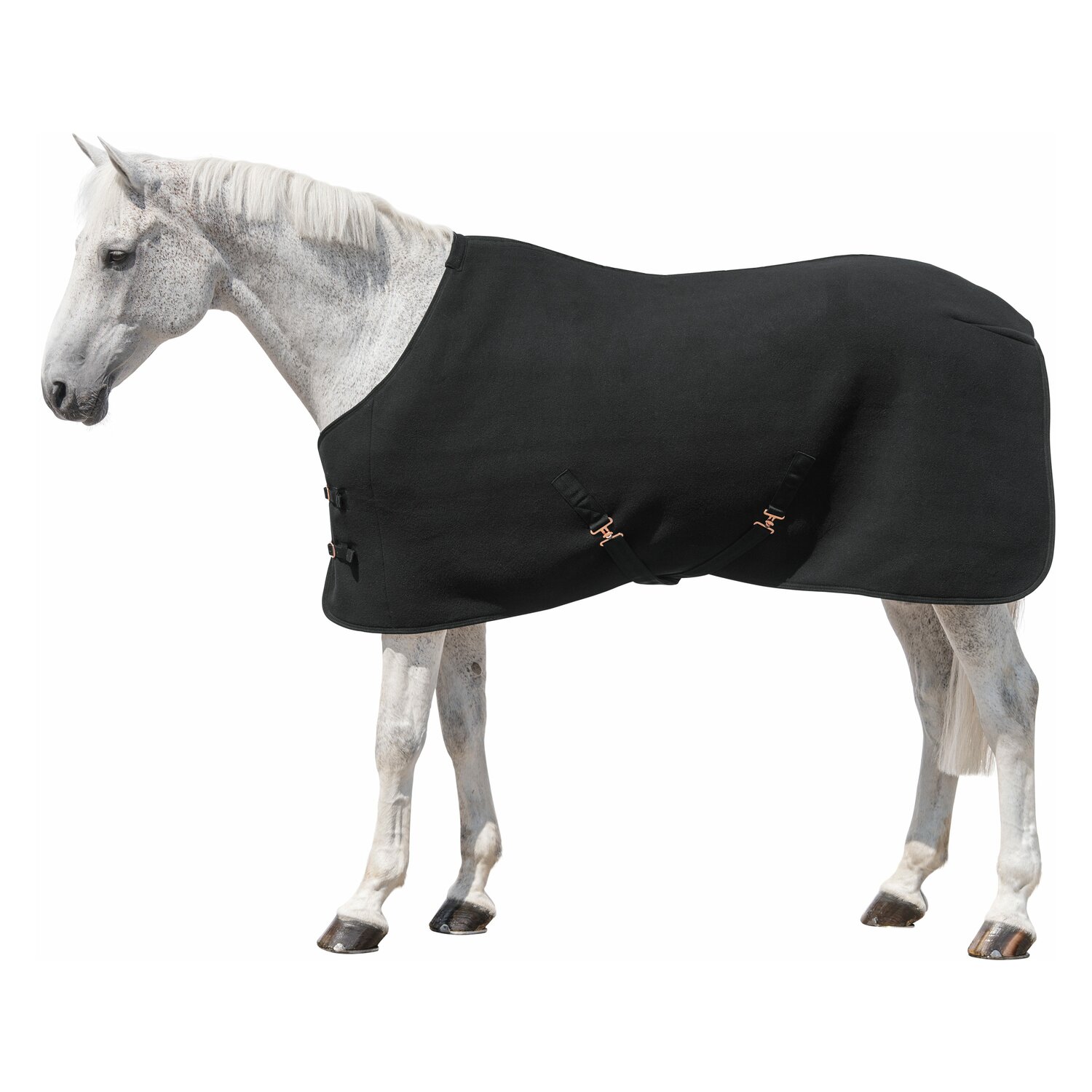 RIDE now Abschwitzdecke Luton – Ansicht 1