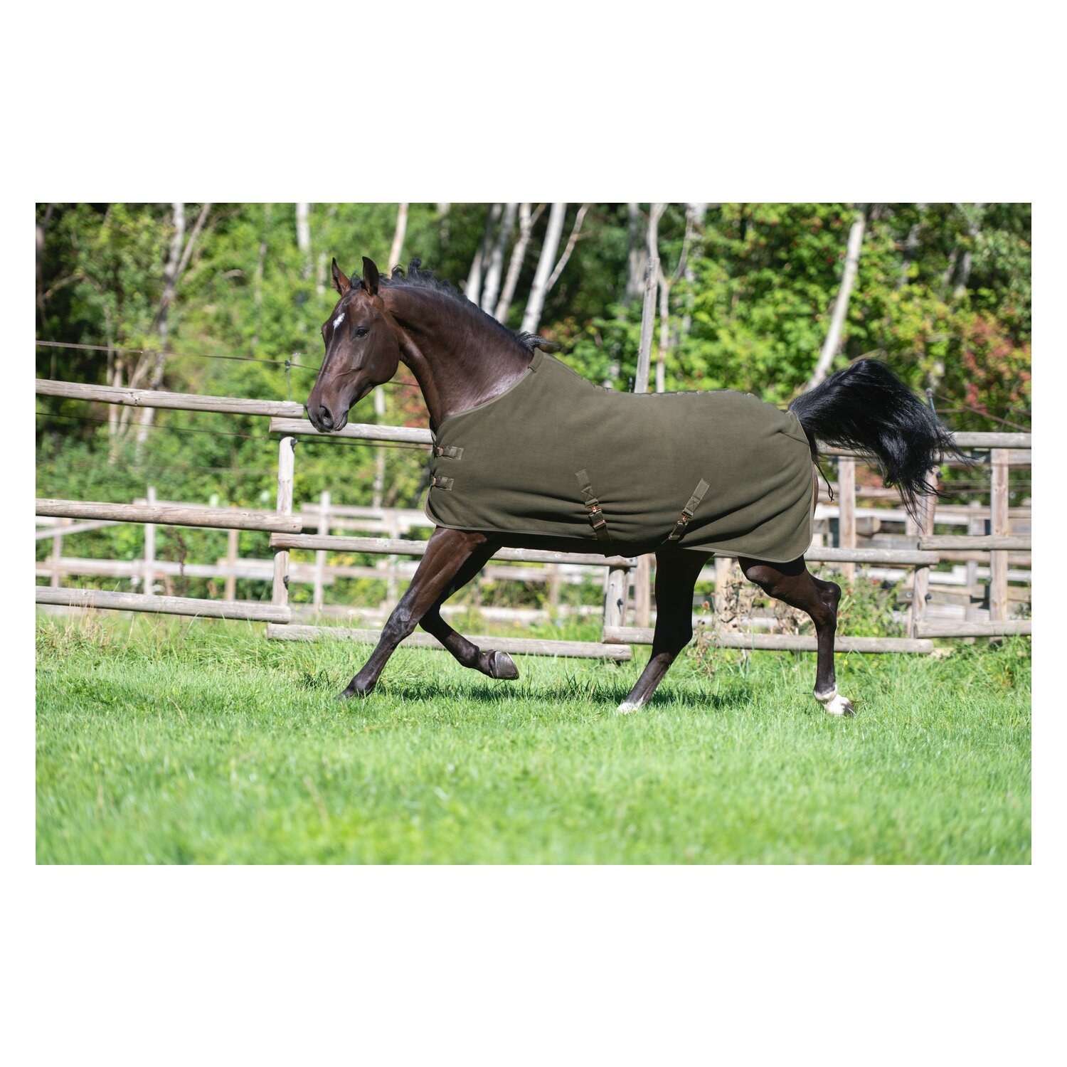 RIDE now Abschwitzdecke Luton – Ansicht 2