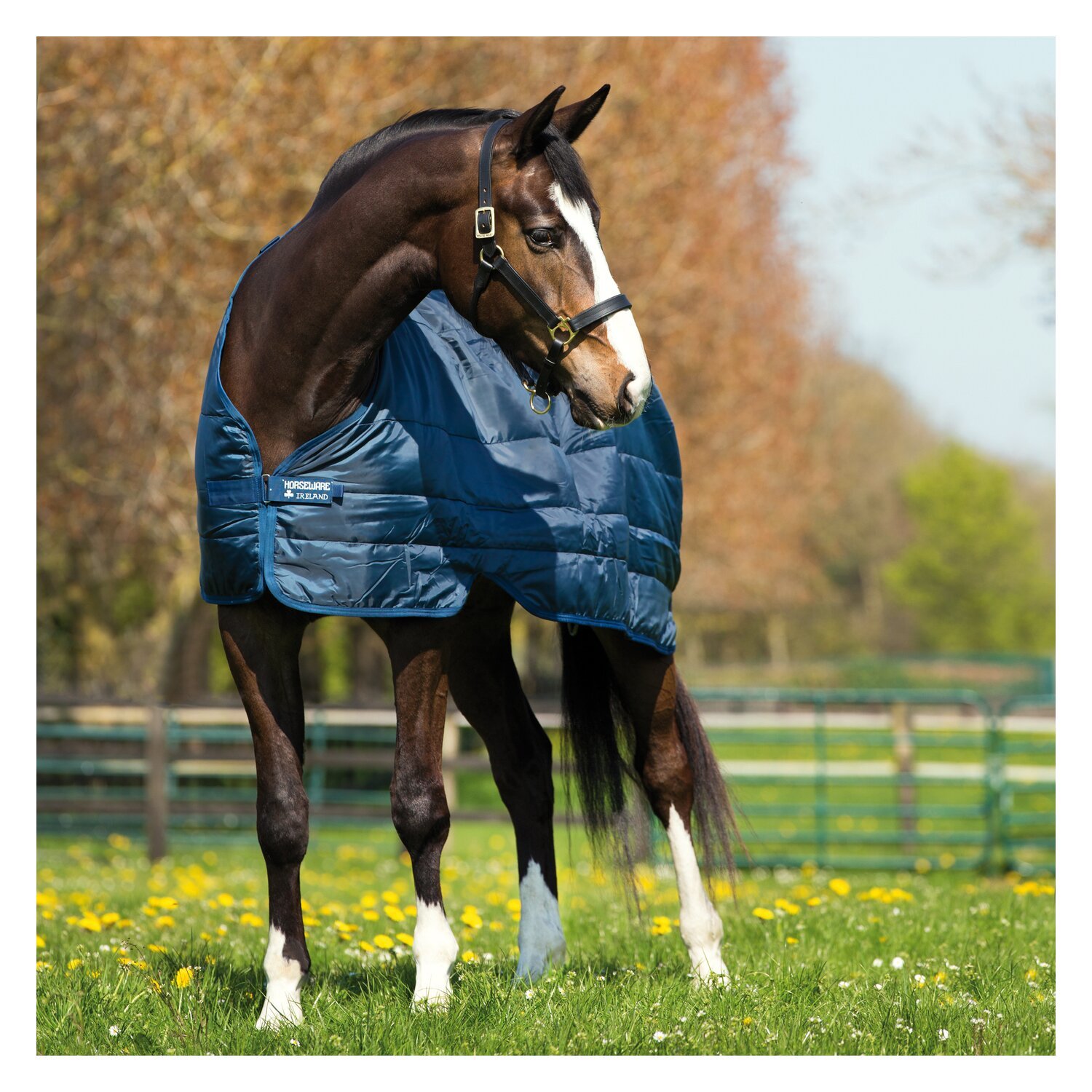 HORSEWARE Unterdecke Liner 50 g – Ansicht 2