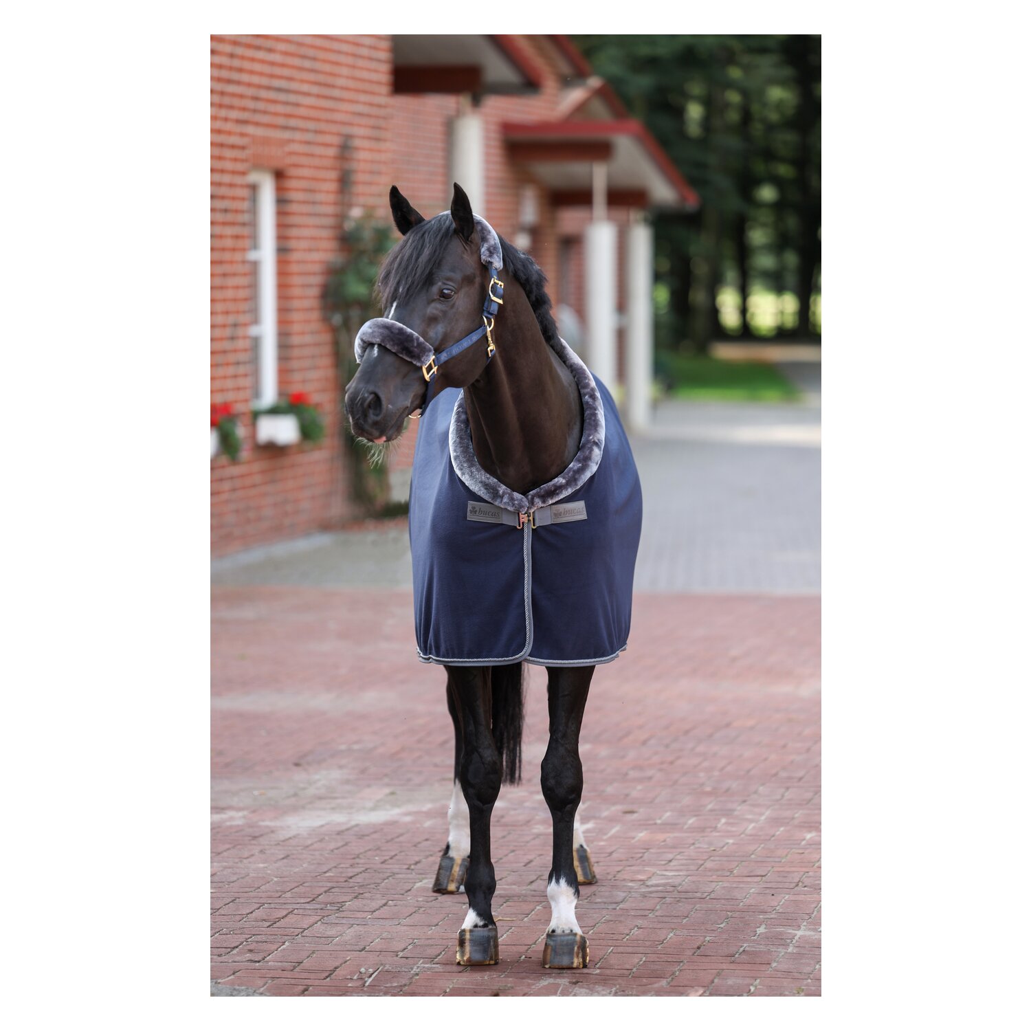 bucas Show-Line Collection Abschwitzdecke – Ansicht 3