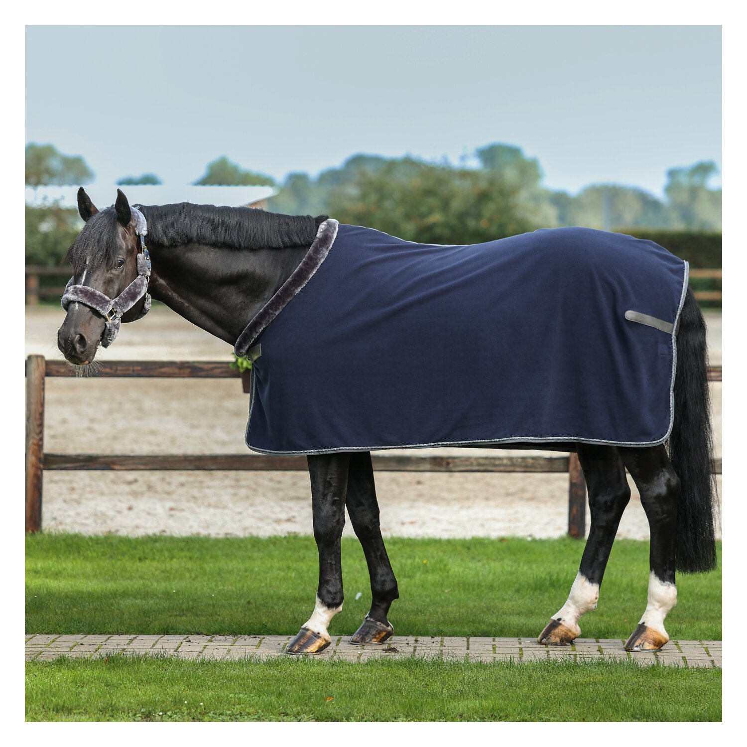 bucas Show-Line Collection Abschwitzdecke – Ansicht 1