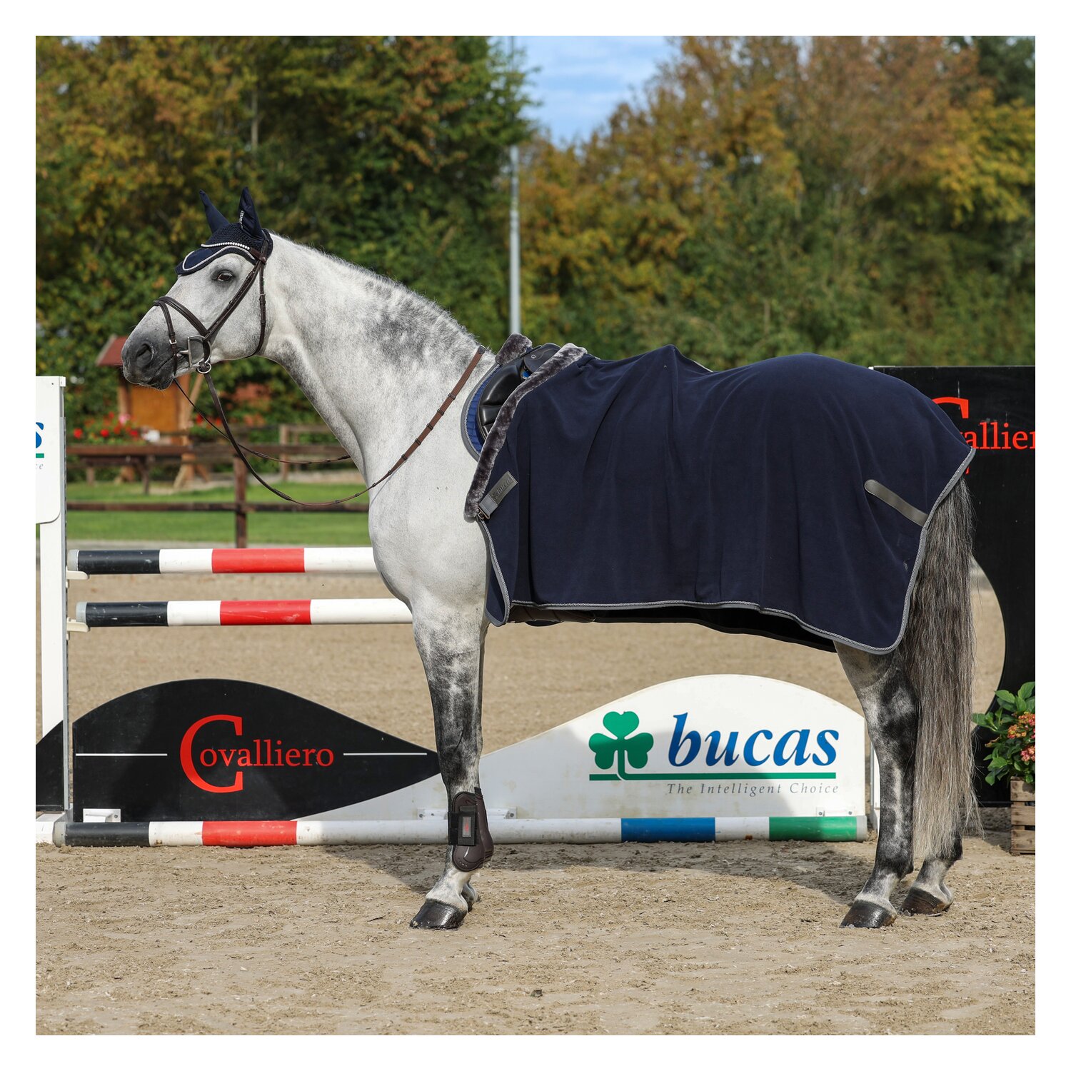 bucas Show-Line Collection Abschwitzdecke – Ansicht 2