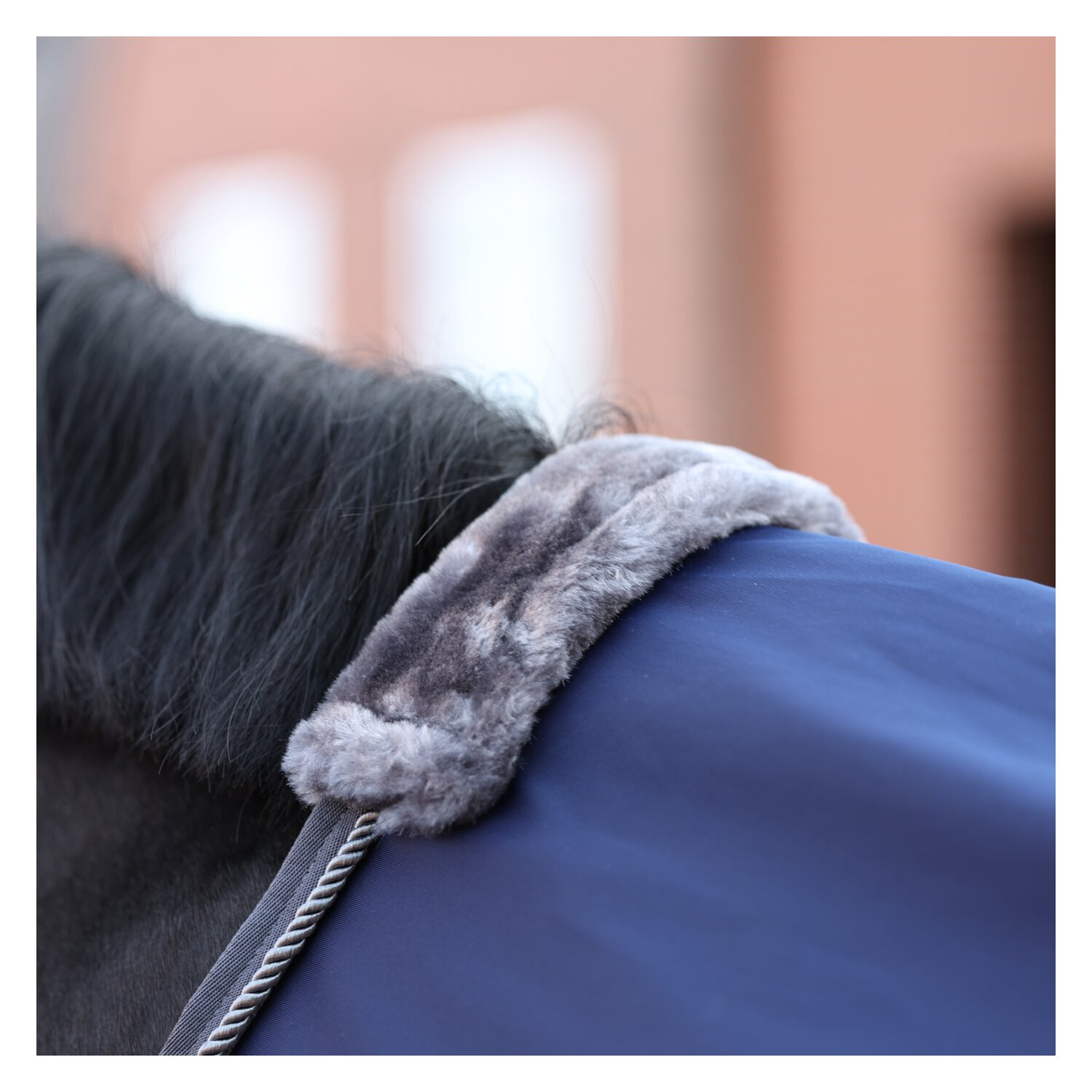 bucas Show-Line Collection Kühldecke Competition Cooler &ndash; Ansicht 4