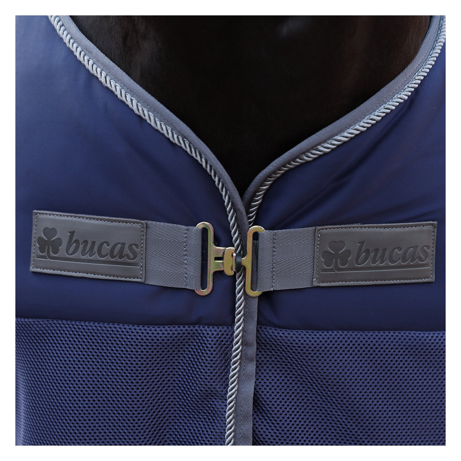 bucas Show-Line Collection Kühldecke Competition Cooler &ndash; Ansicht 3