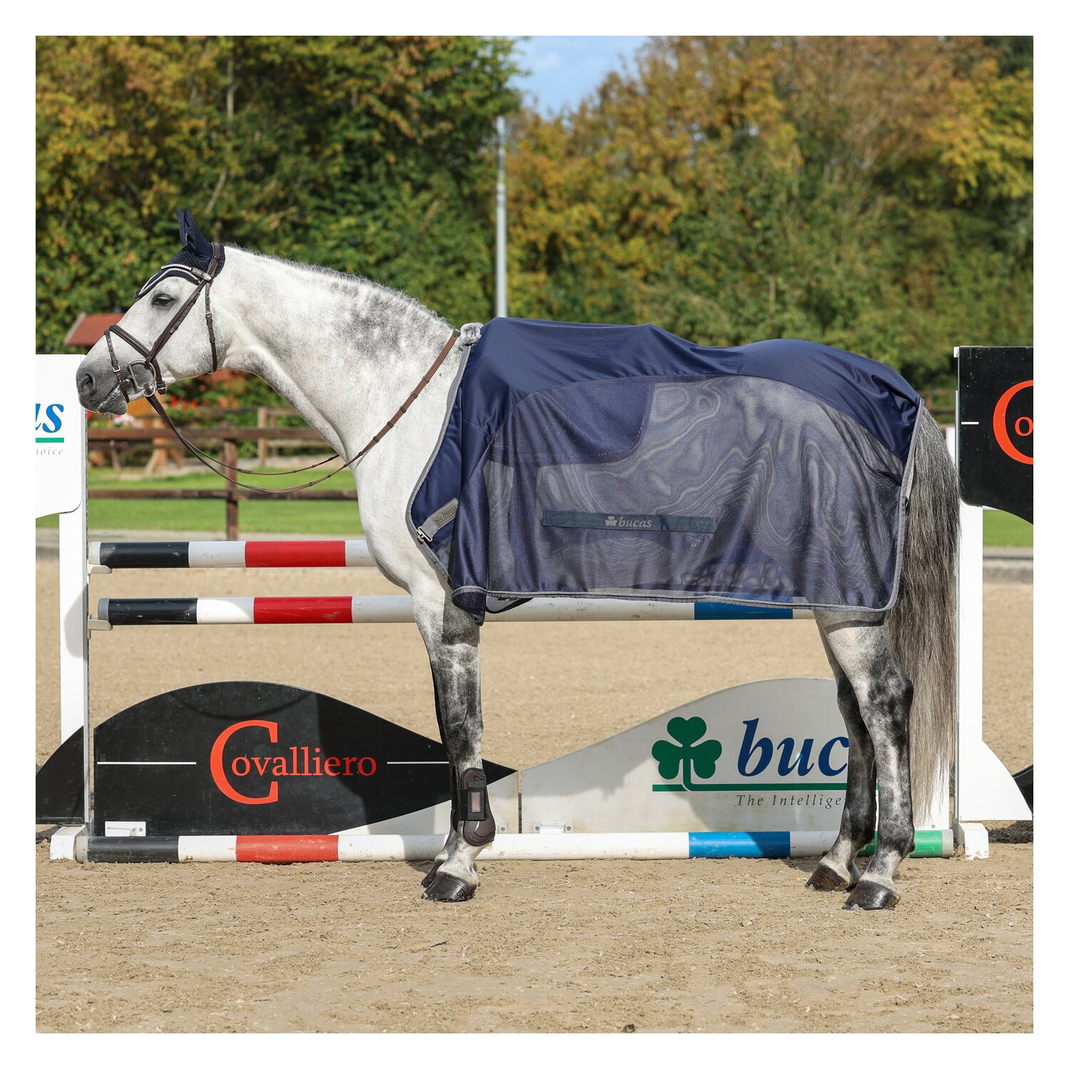 bucas Show-Line Collection Kühldecke Competition Cooler &ndash; Ansicht 2