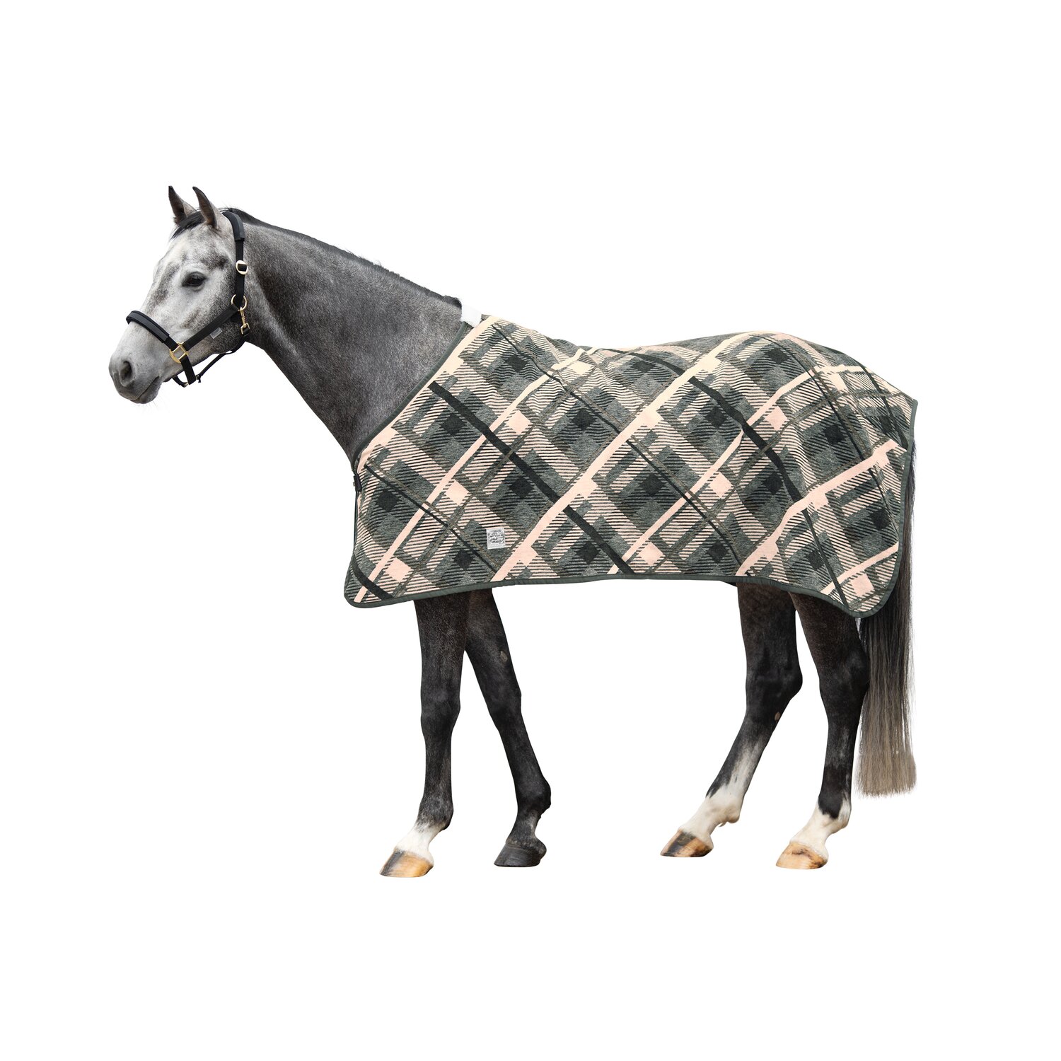 EQUEST Dralondecke Regular Winter Sport – Ansicht 1