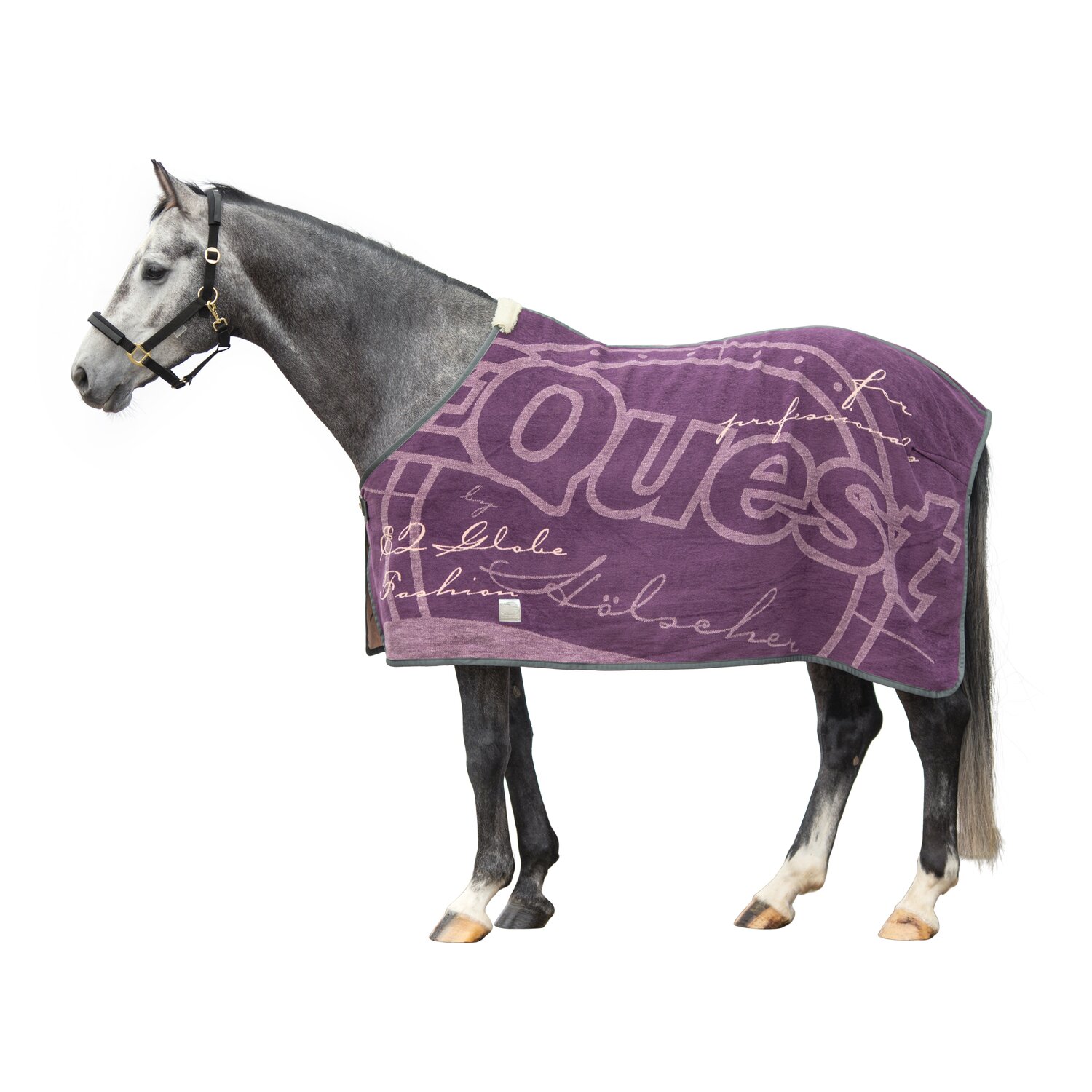 EQUEST Dralondecke Globe – Ansicht 1