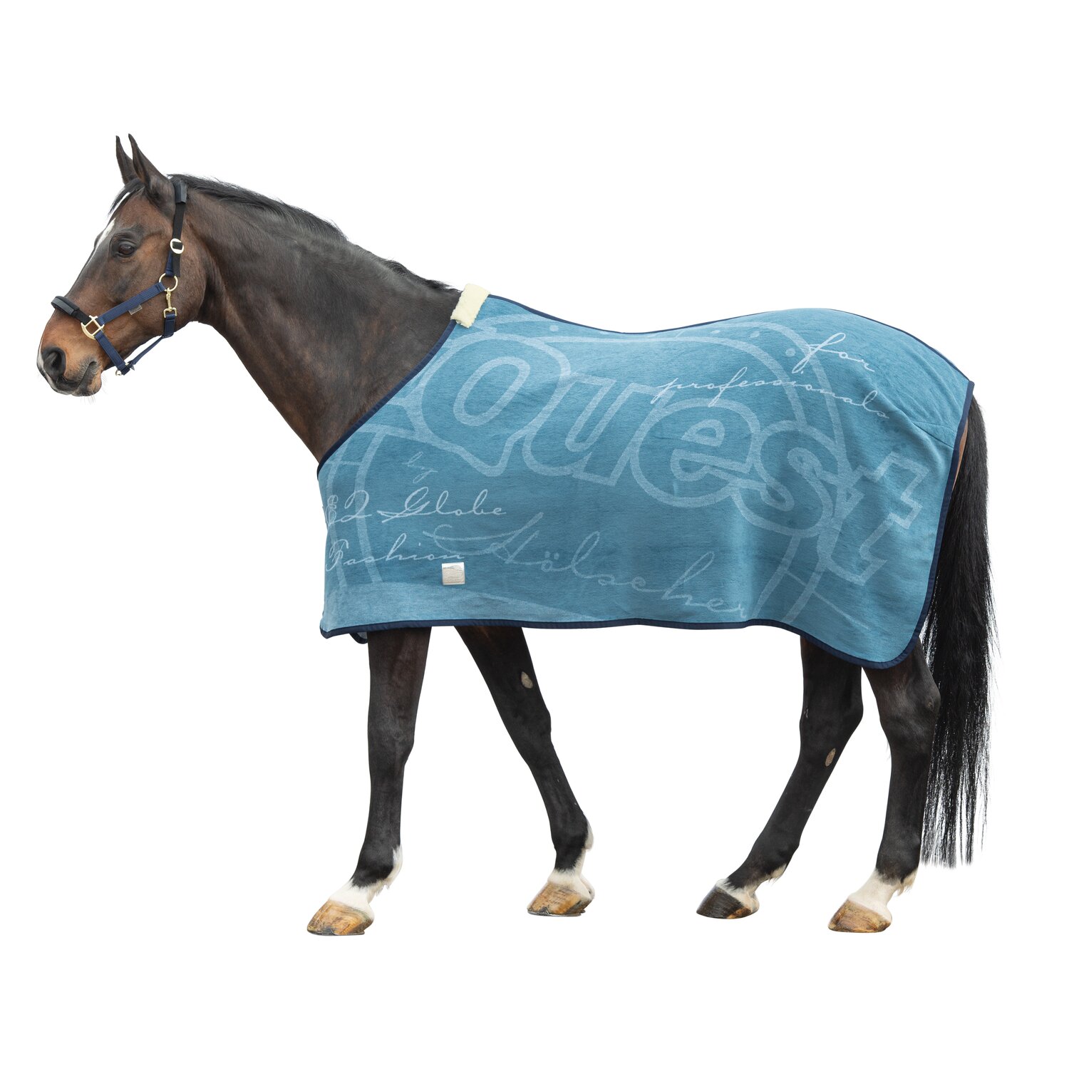 EQUEST Dralondecke Globe – Ansicht 1