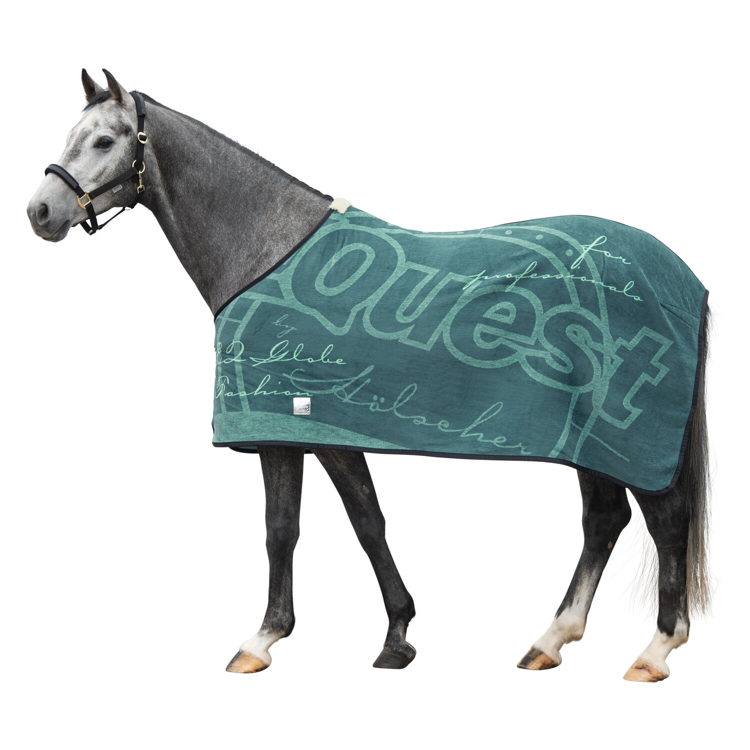 EQUEST Dralondecke Globe – Ansicht 1