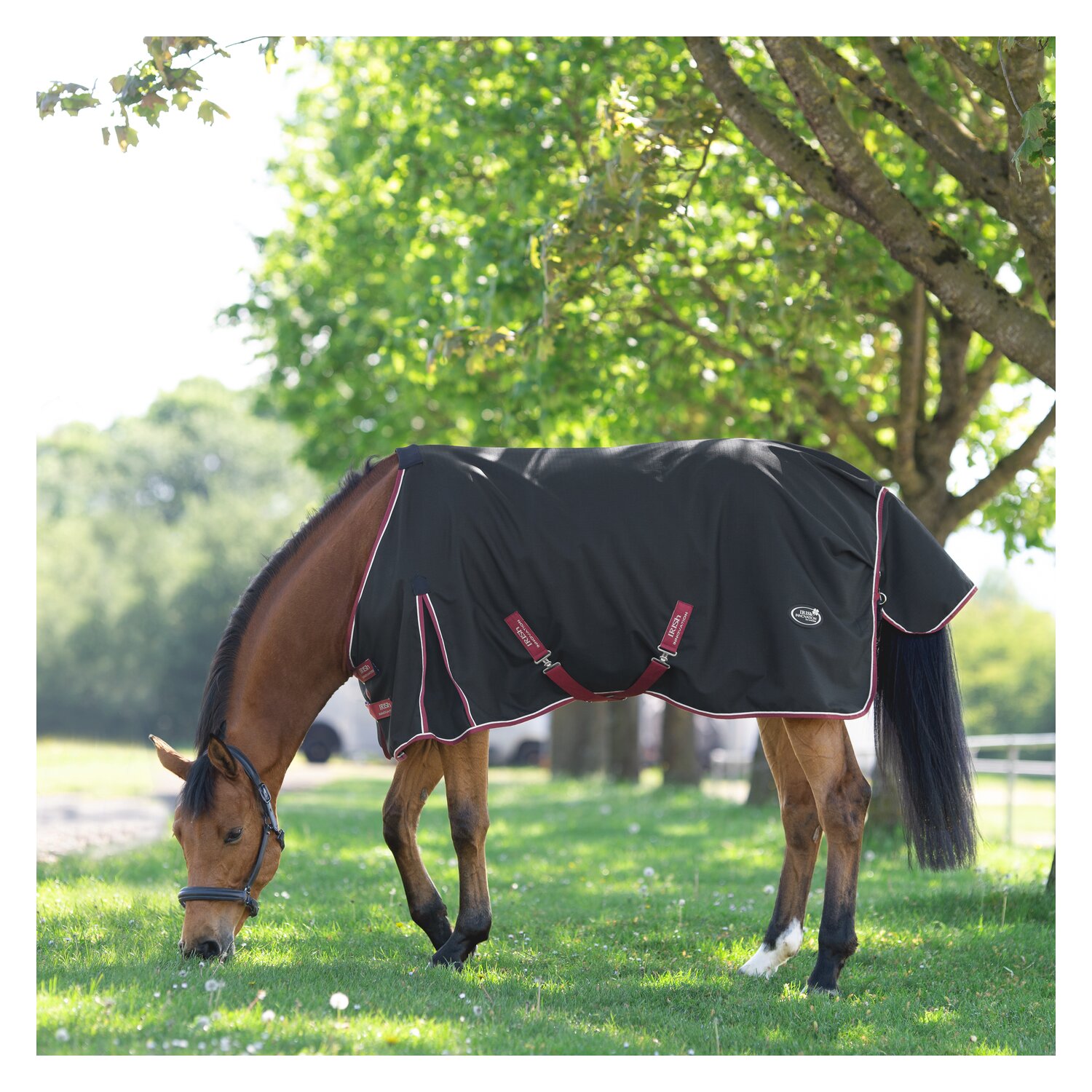 IRISh INNOVATION Outdoordecke Rainstormer – Ansicht 3