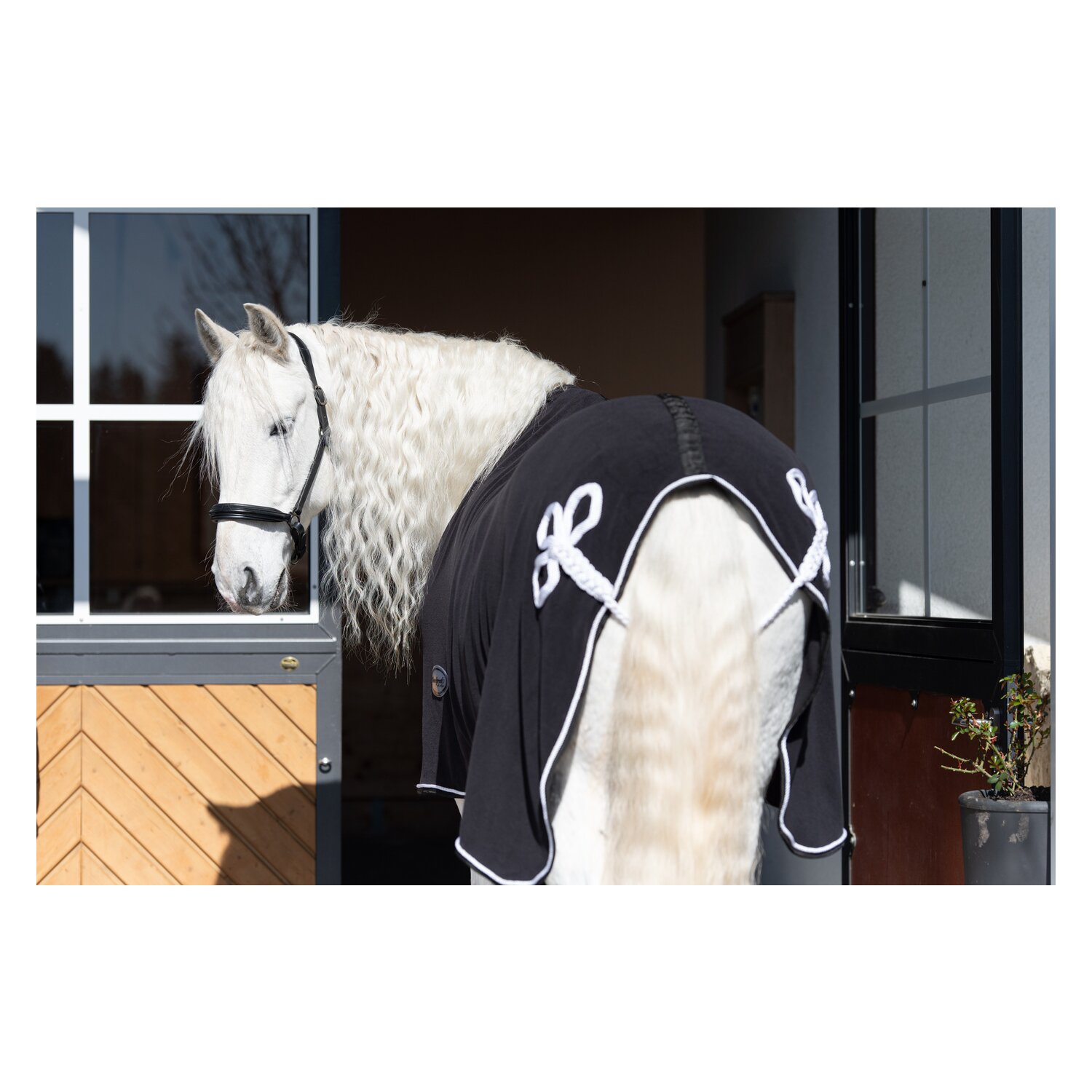 Horse-friends Paradedecke Aachen – Ansicht 3