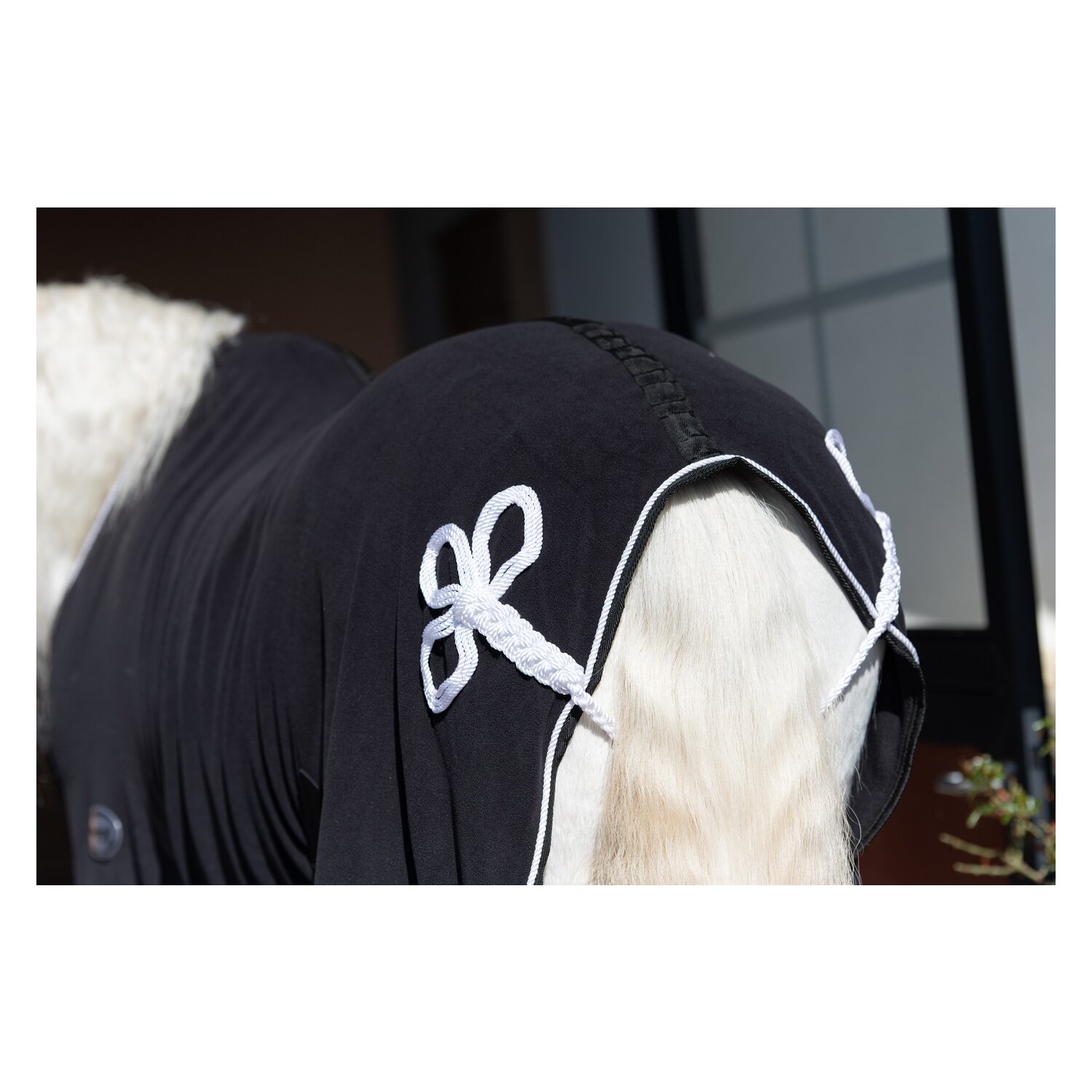 Horse-friends Paradedecke Aachen – Ansicht 4