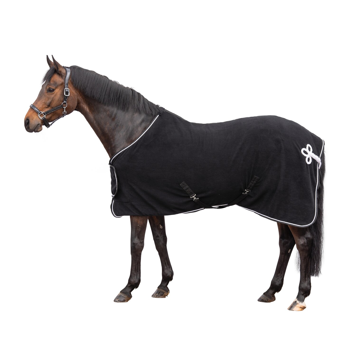 Horse-friends Paradedecke Aachen – Ansicht 1