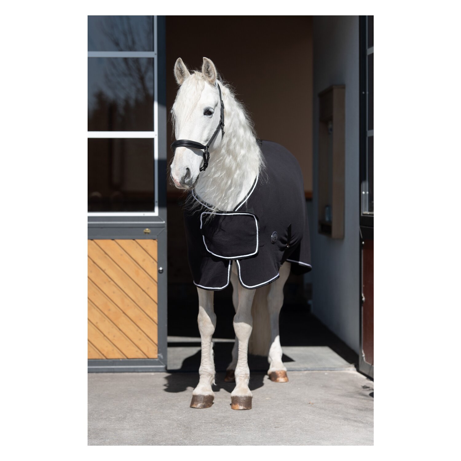Horse-friends Paradedecke Aachen – Ansicht 2