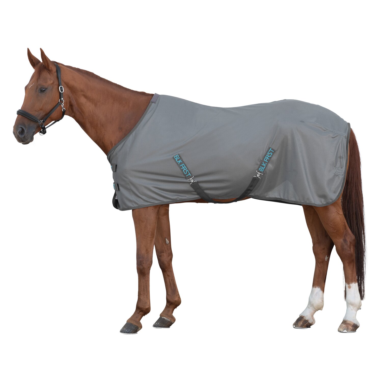 black forest Fliegendecke – Ansicht 1