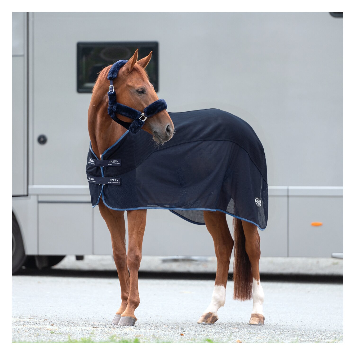 IRISh INNOVATION Transport-Fliegendecke – Ansicht 2