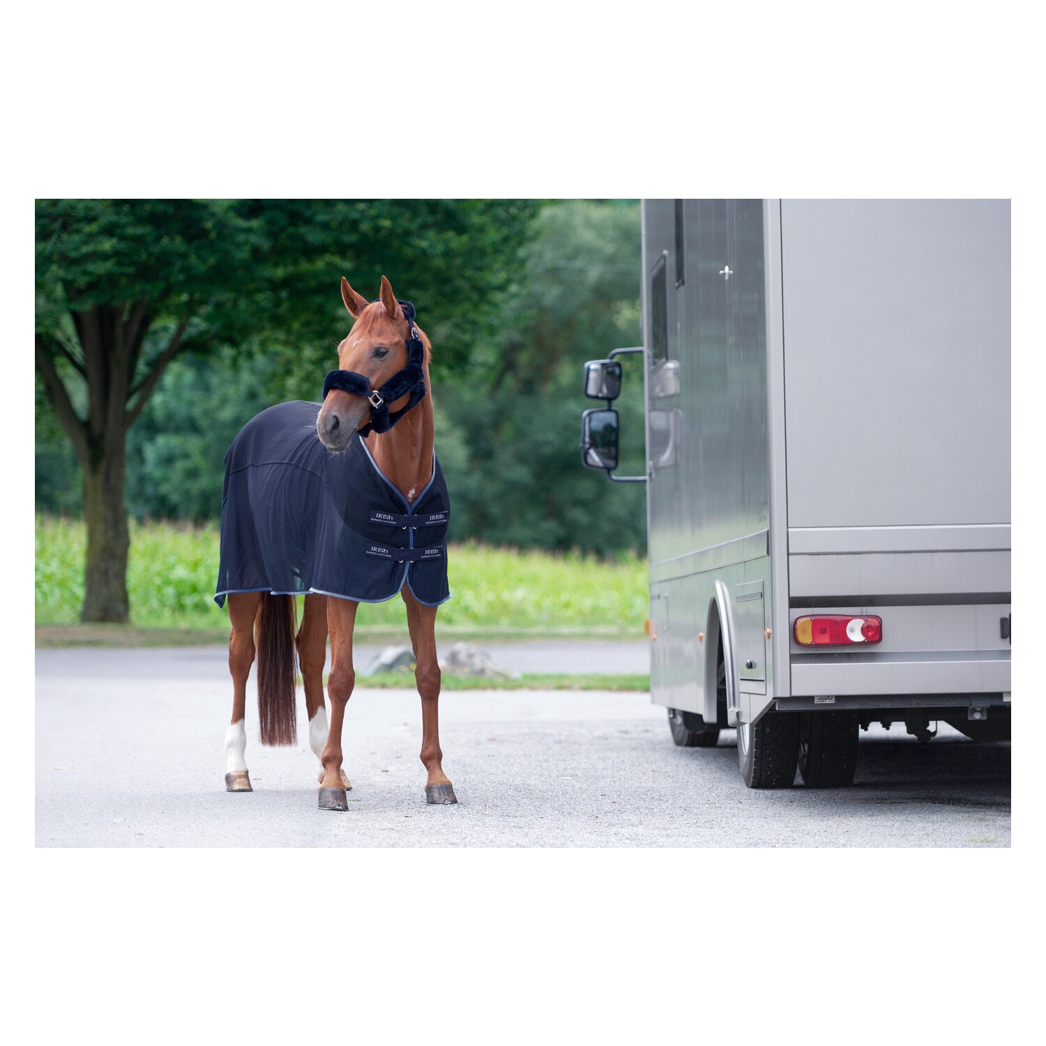 IRISh INNOVATION Transport-Fliegendecke – Ansicht 3