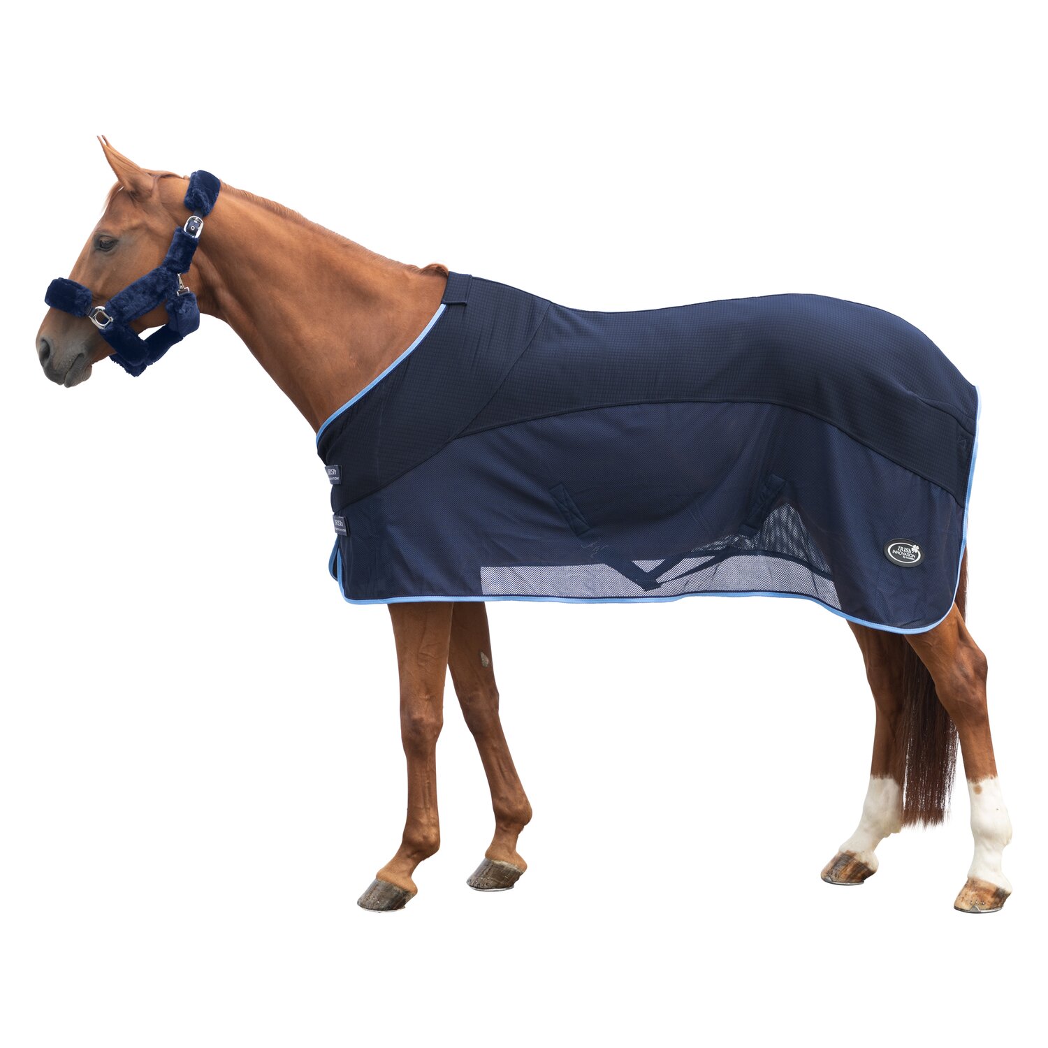 IRISh INNOVATION Transport-Fliegendecke – Ansicht 1