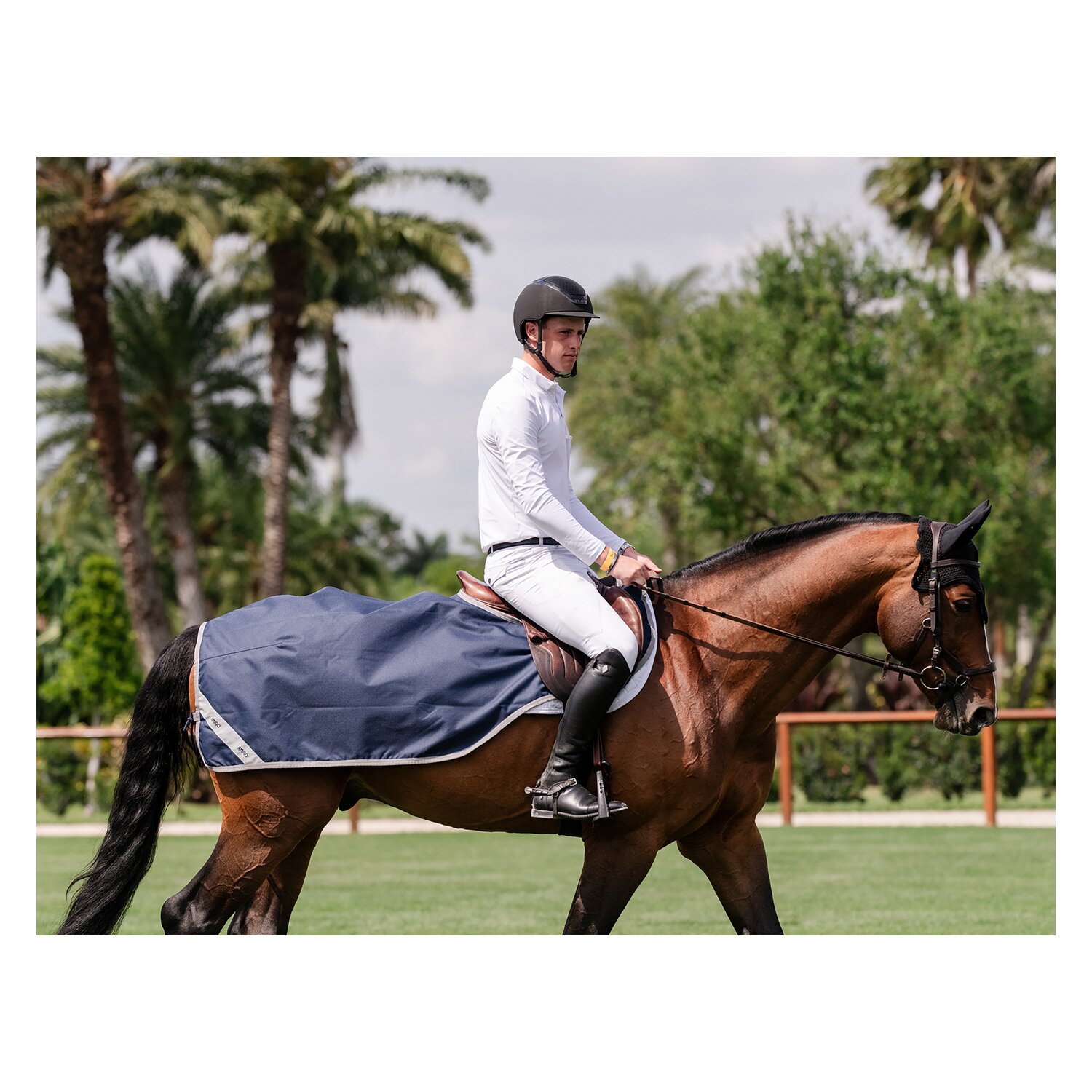 HORSEWARE Ausreitdecke AMIGO Excercise Sheet – Ansicht 2