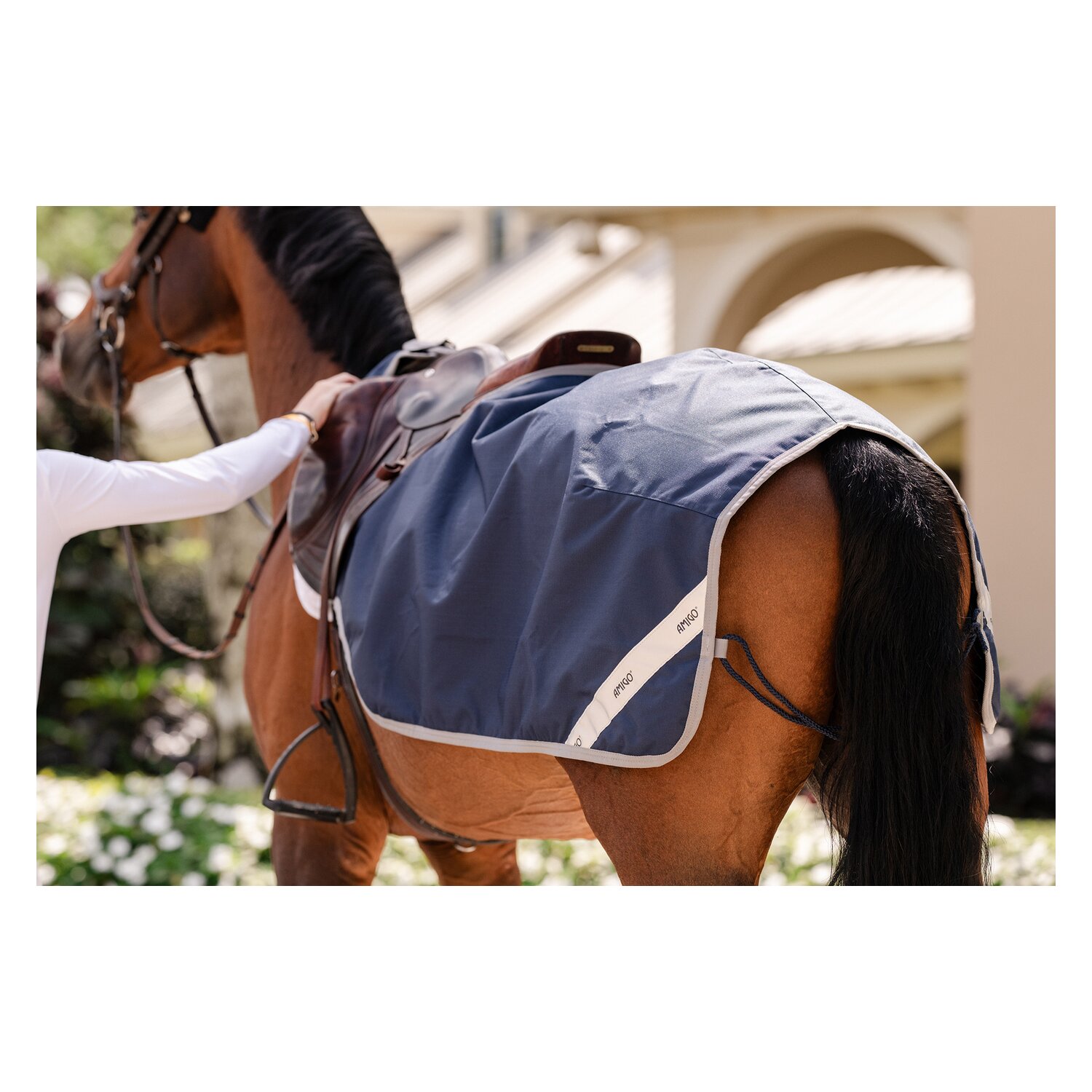 HORSEWARE Ausreitdecke AMIGO Excercise Sheet – Ansicht 3