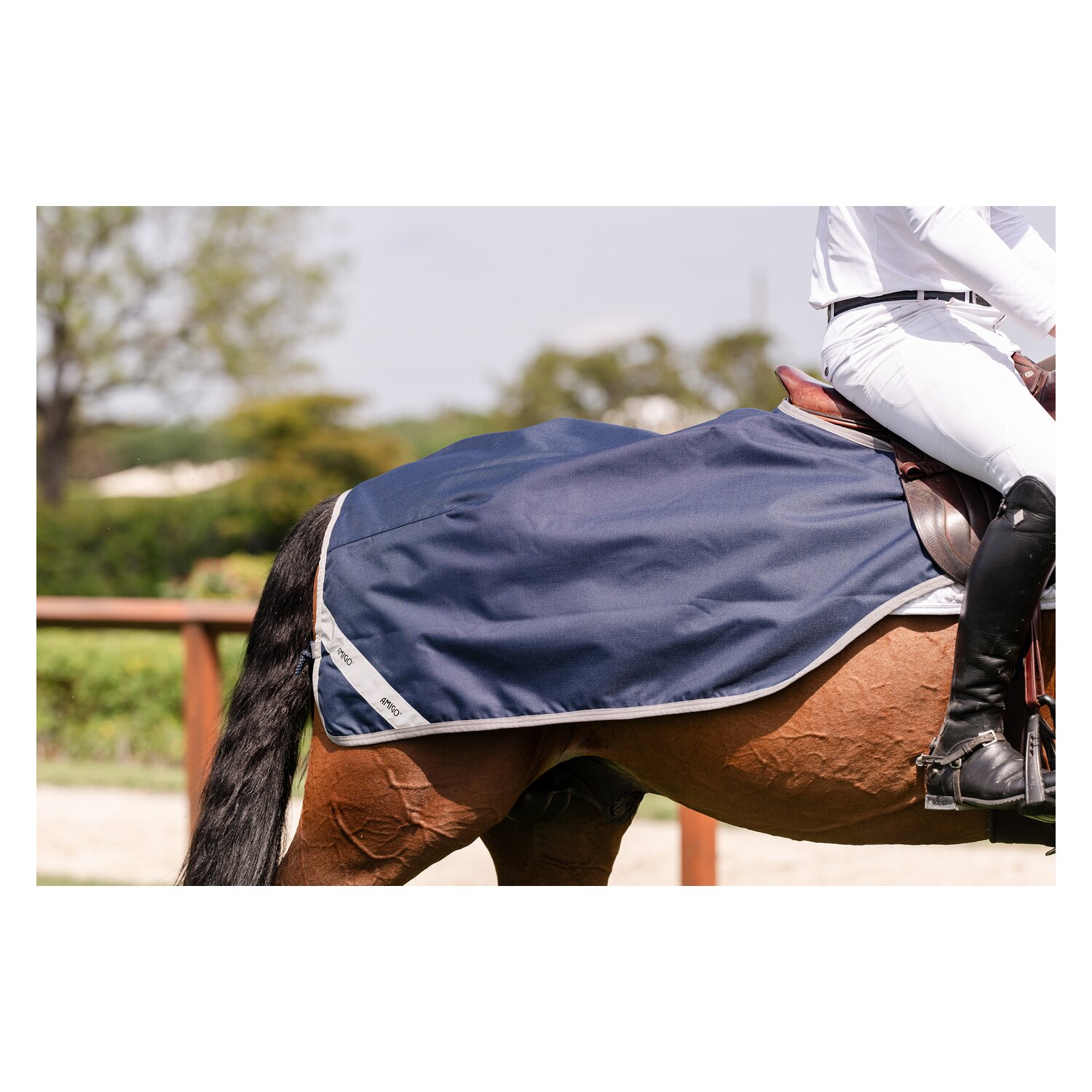 HORSEWARE Ausreitdecke AMIGO Excercise Sheet – Ansicht 4